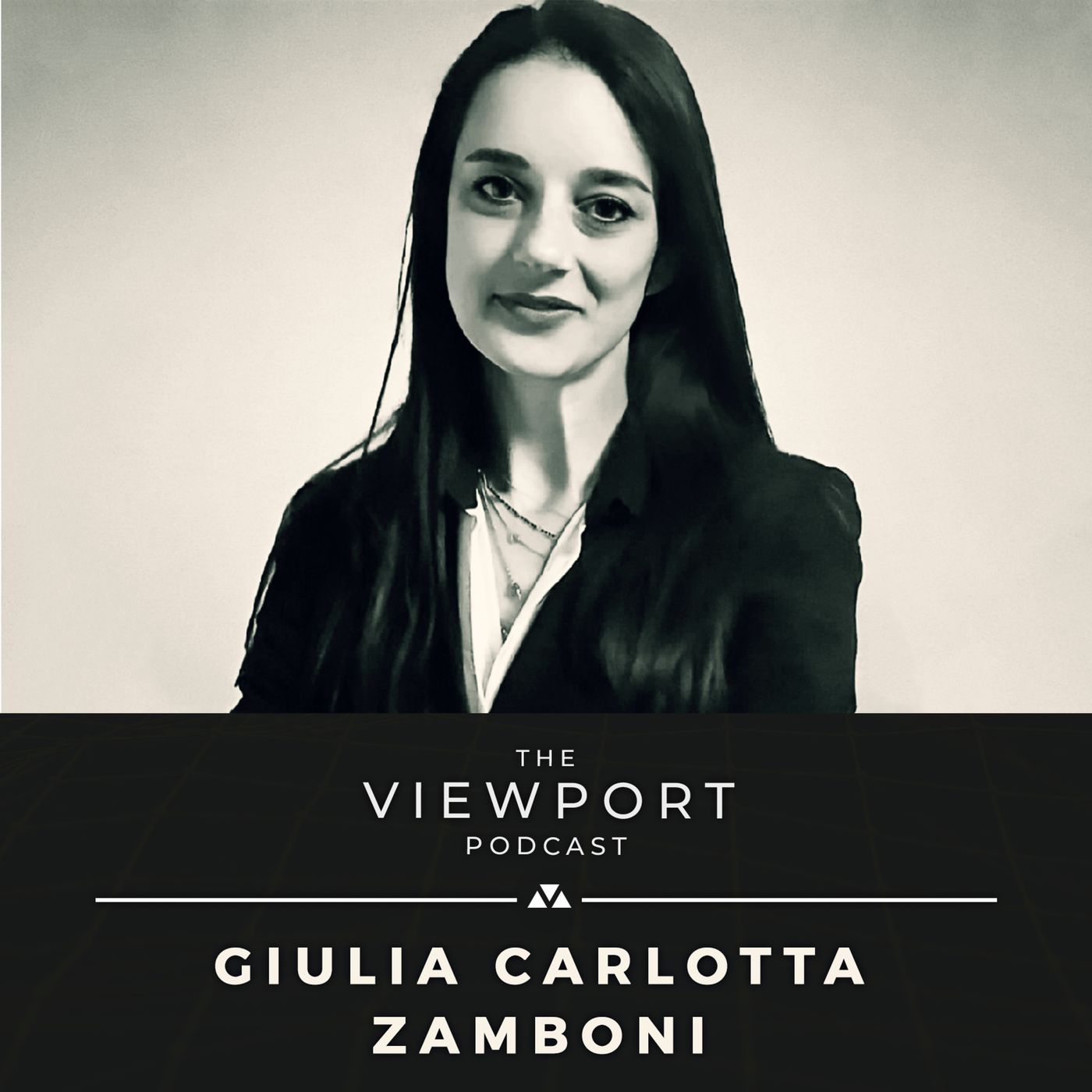The Viewport Podcast