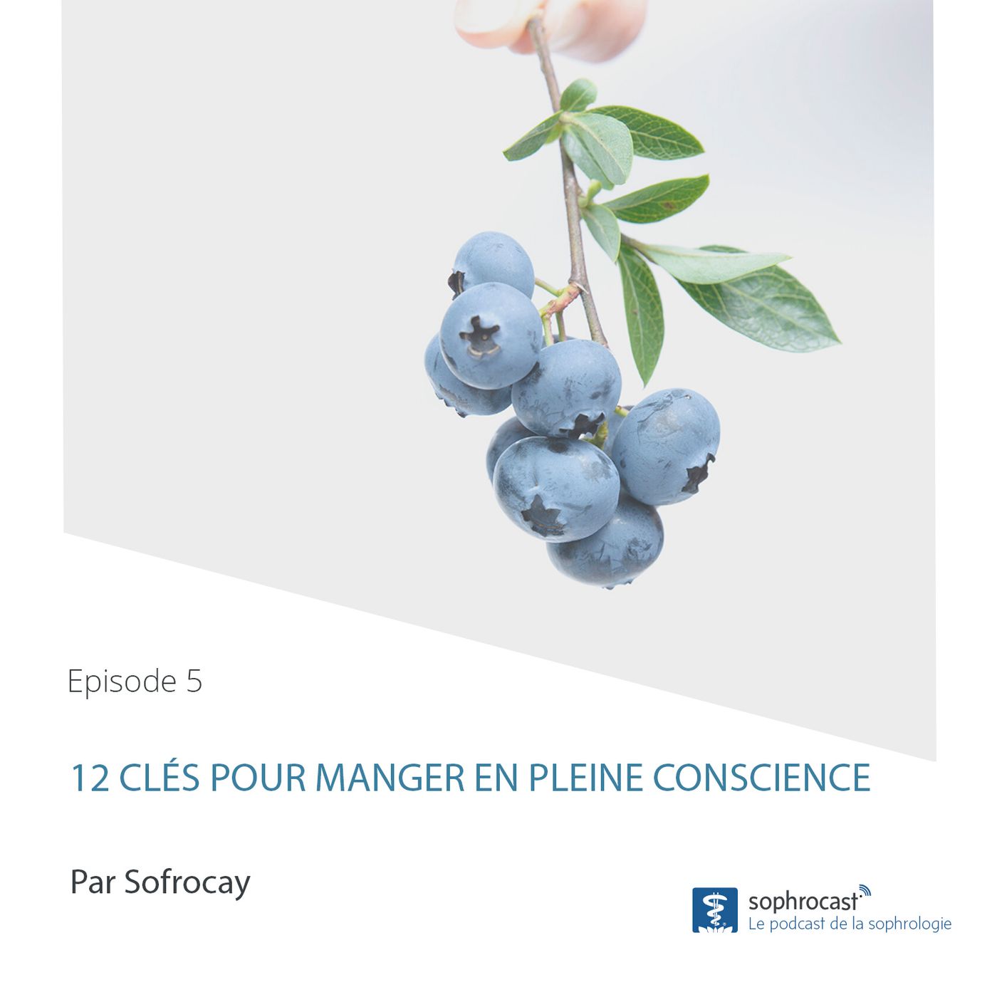 Episode 5 : 12 clés pour manger en pleine conscience