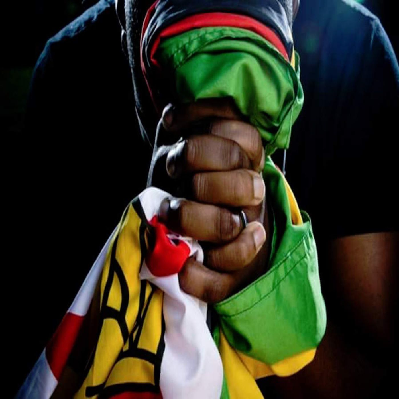What you need to know about #TheFlagMovement #Zimbabwe