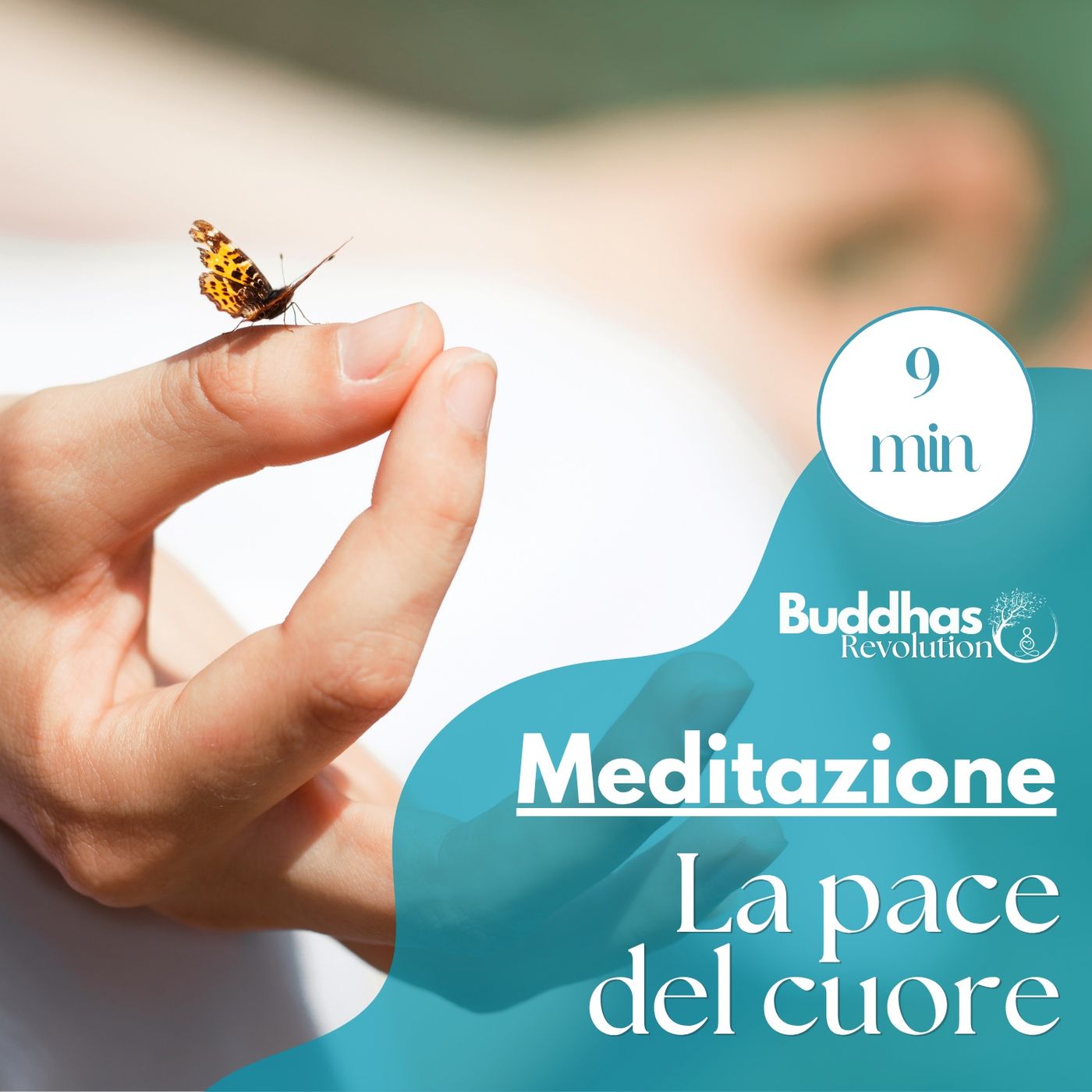 Buddhas Revolution