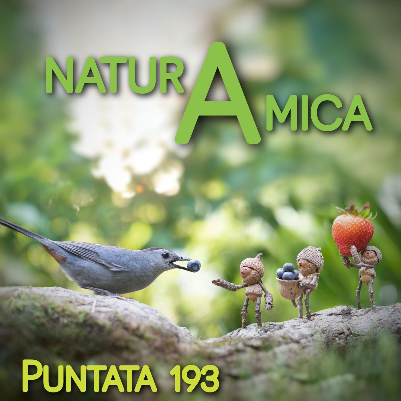 Puntata 193 - naturAmica