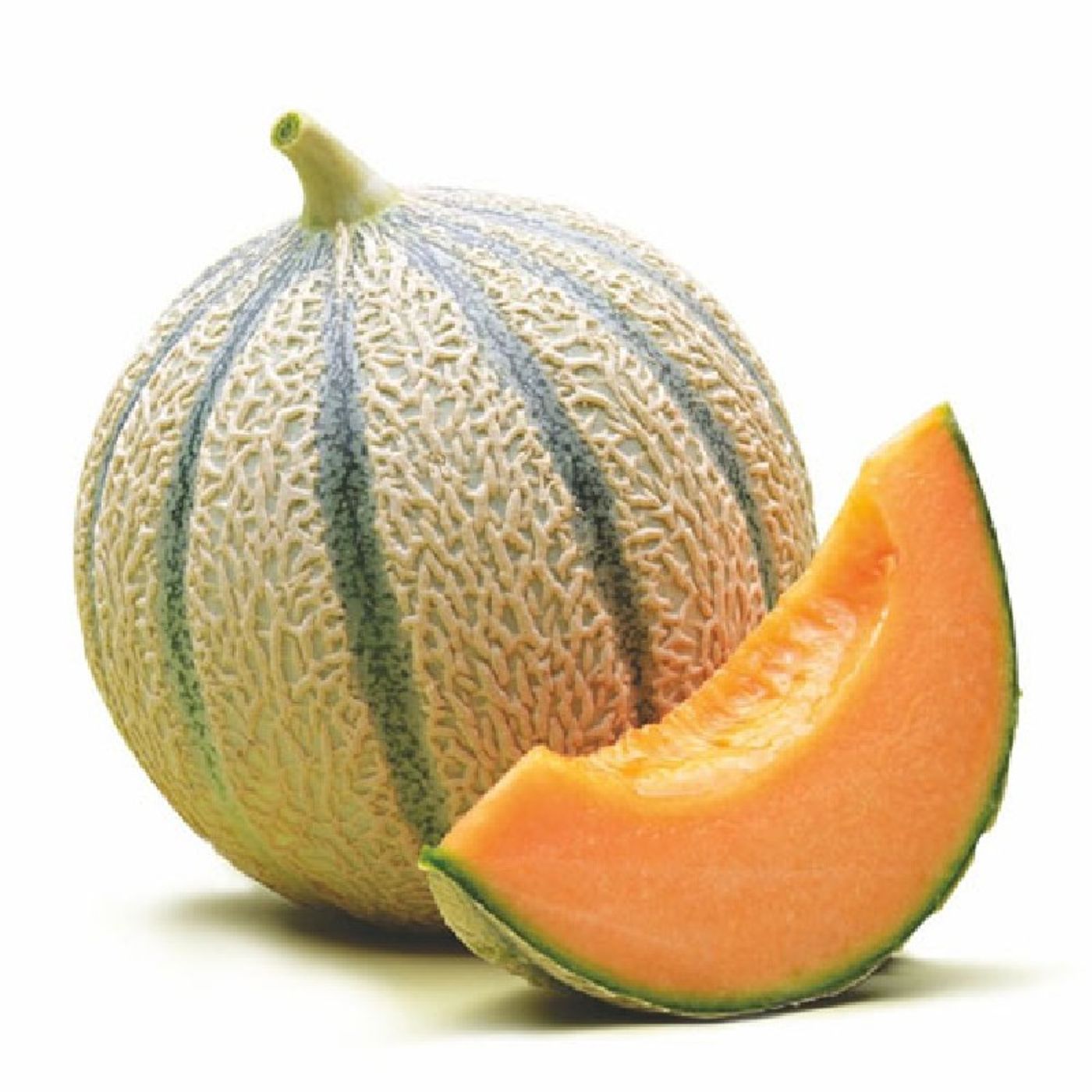 lacasadelacaracola