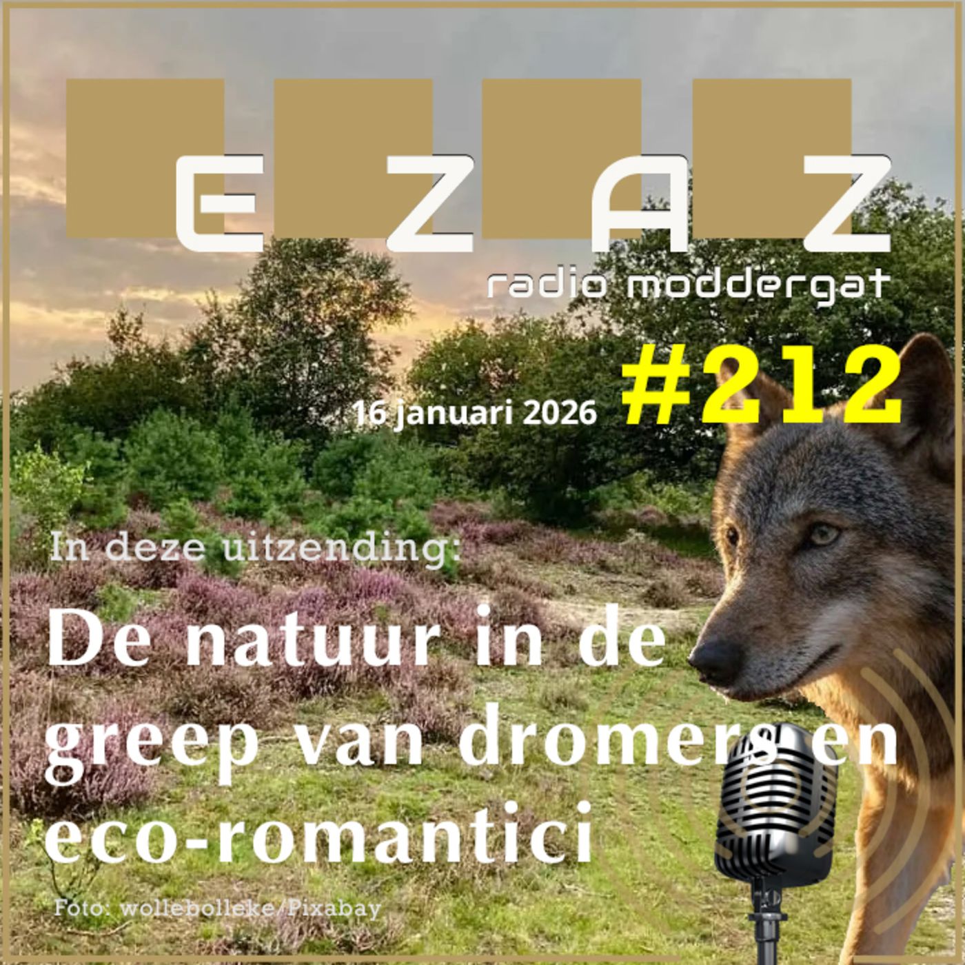 EZAZ radio moddergat