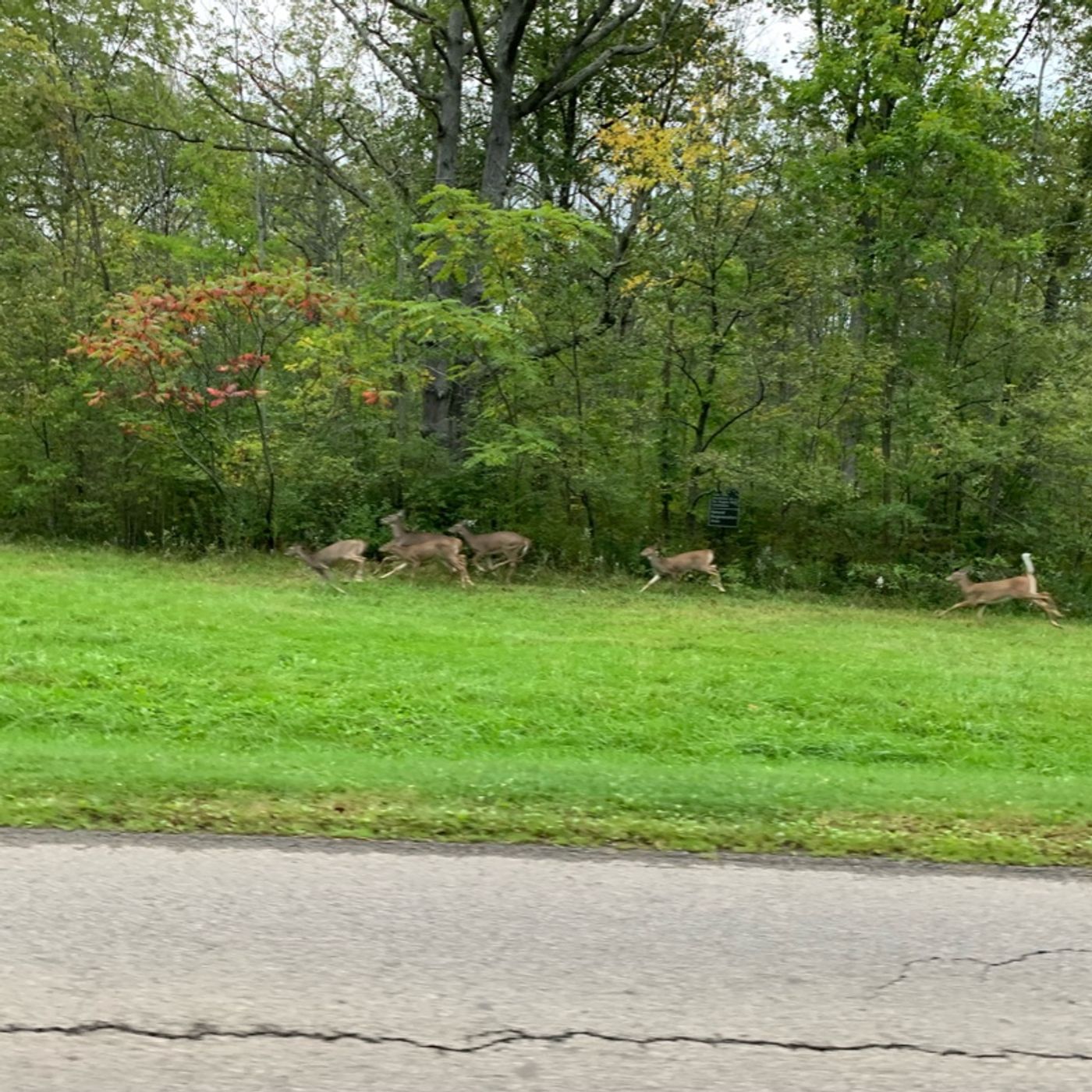 Prayer on the Go! - with Bishop Deb