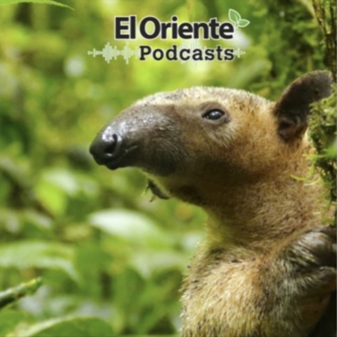 La Voz de la Amazonía