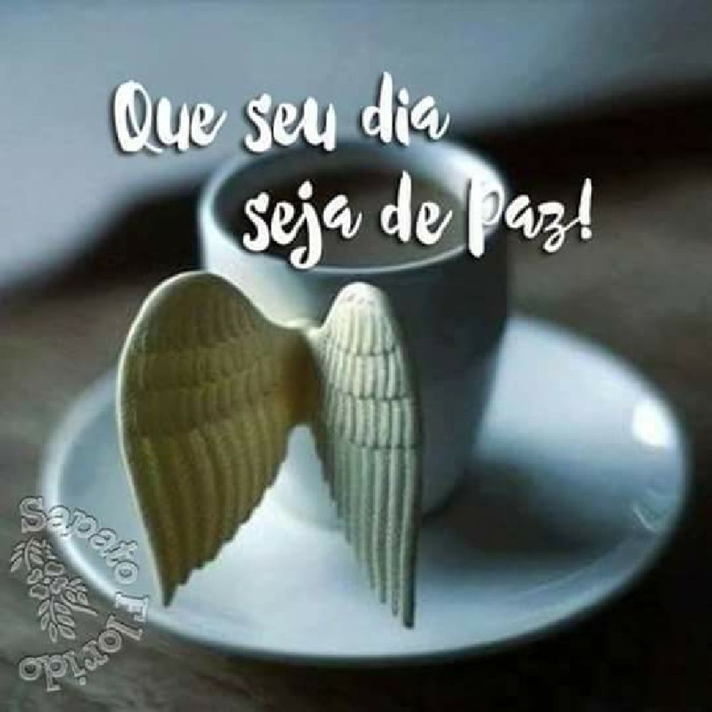 Dois Minutos de Paz #T1Ep1
