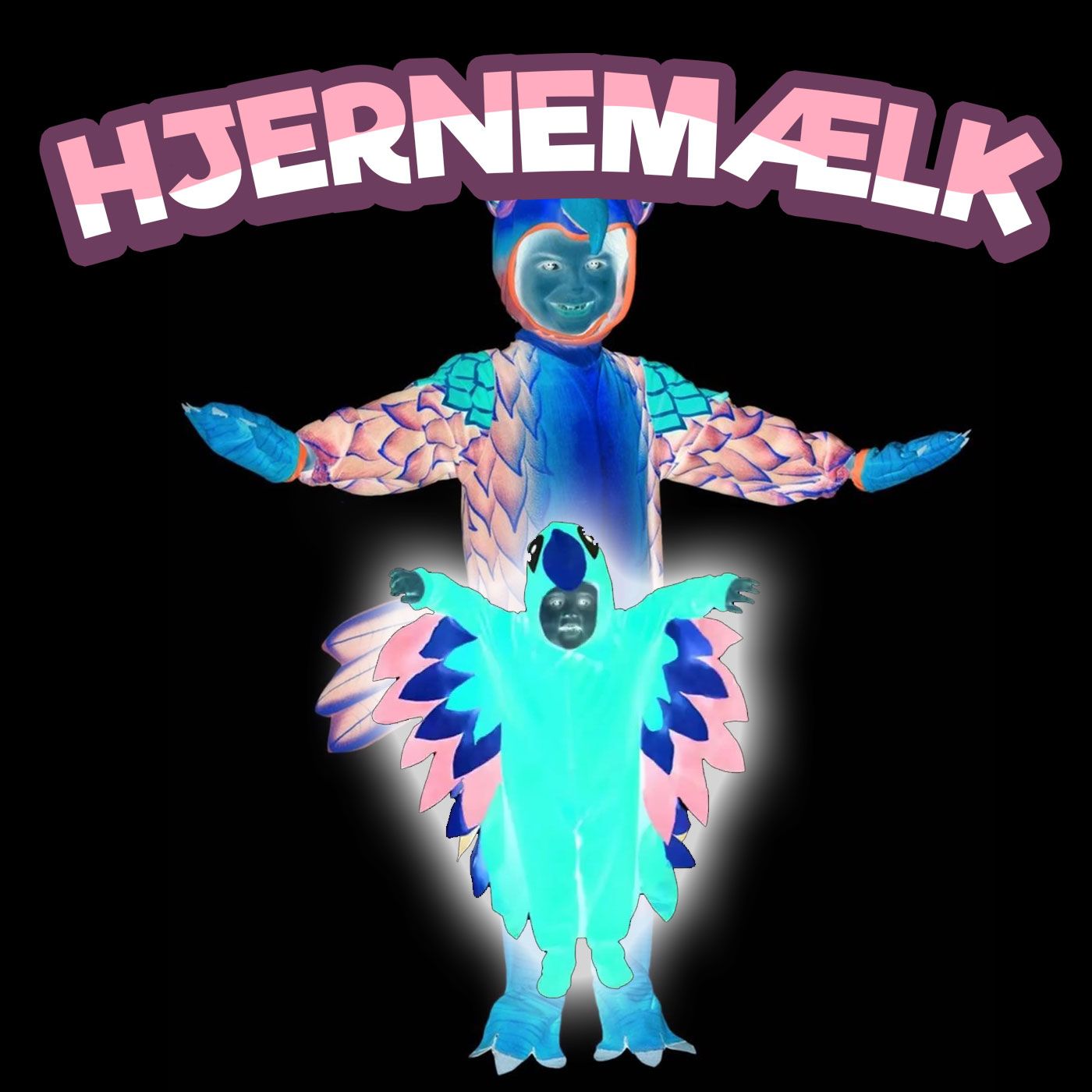 Hjernemælk