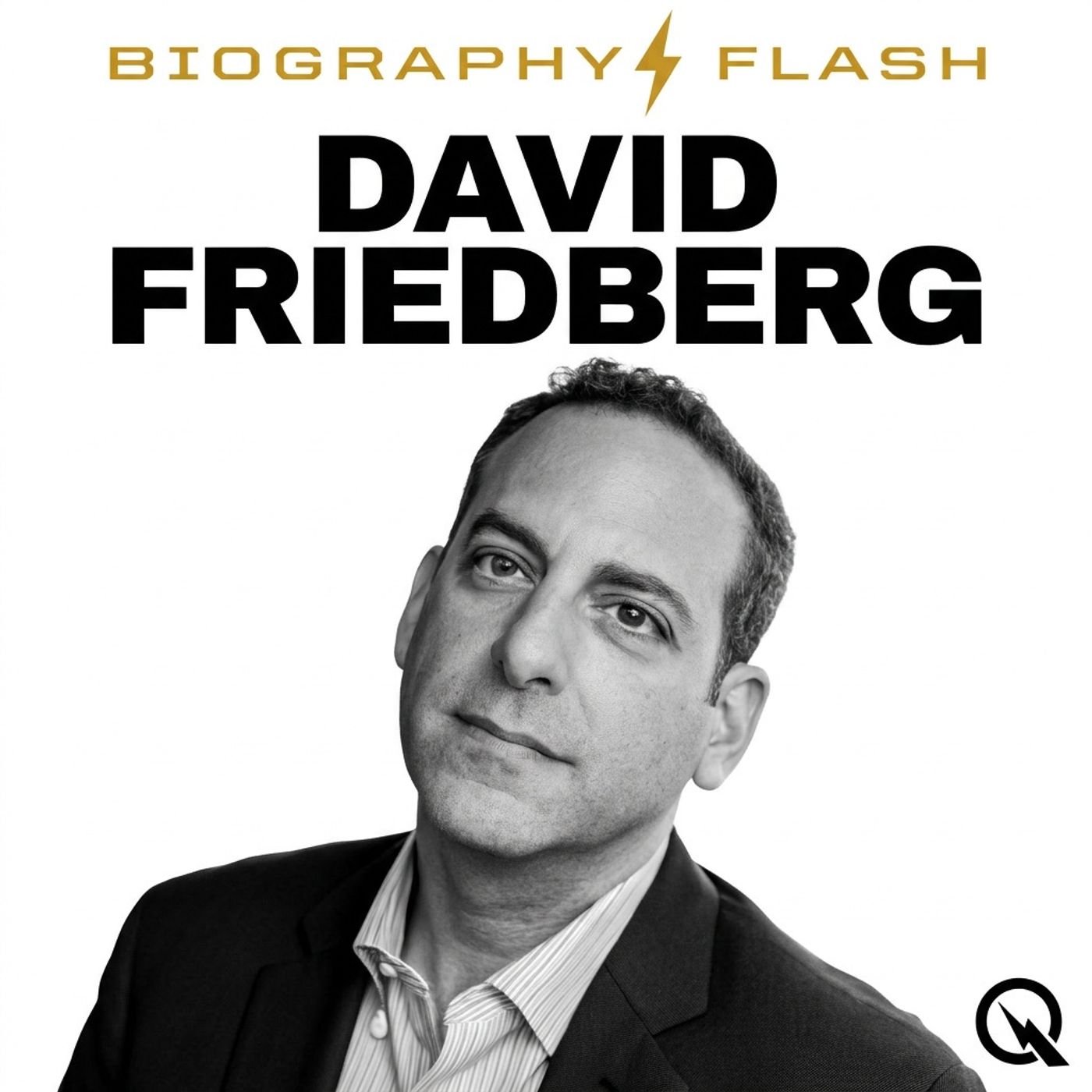 David Friedberg - Biography Flash