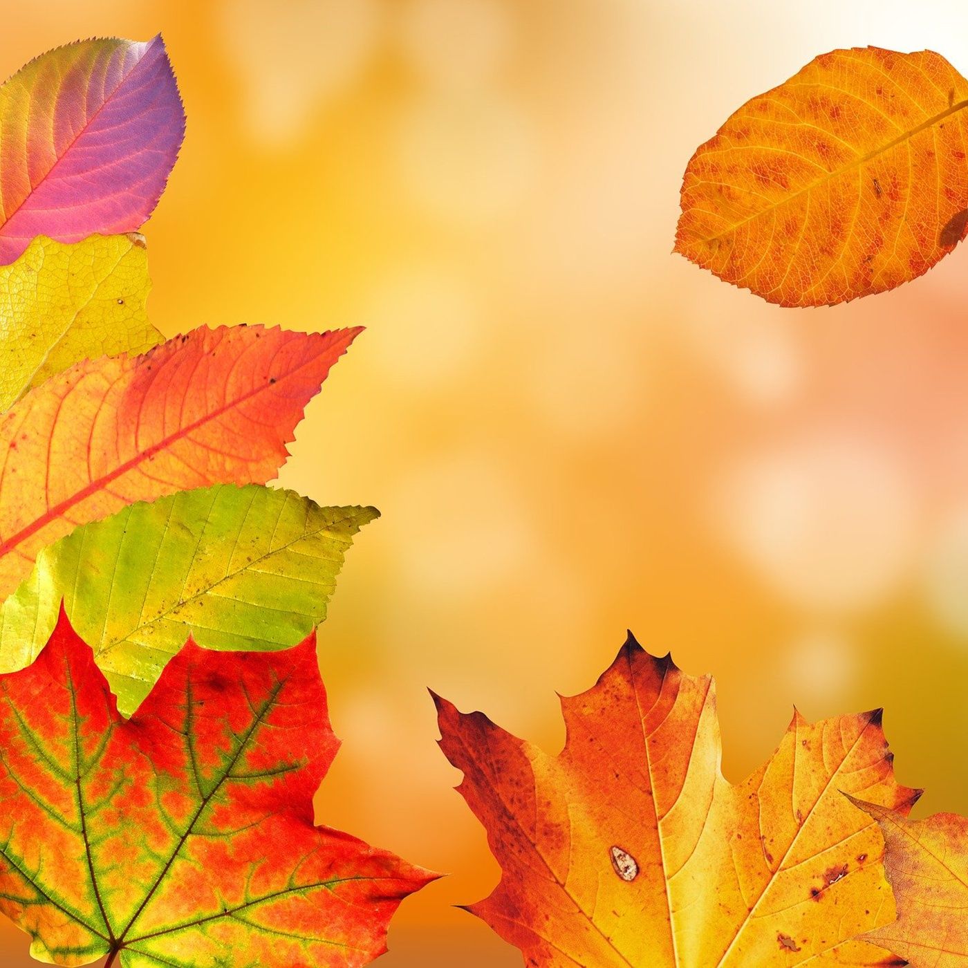 Riflessioni d'autunno