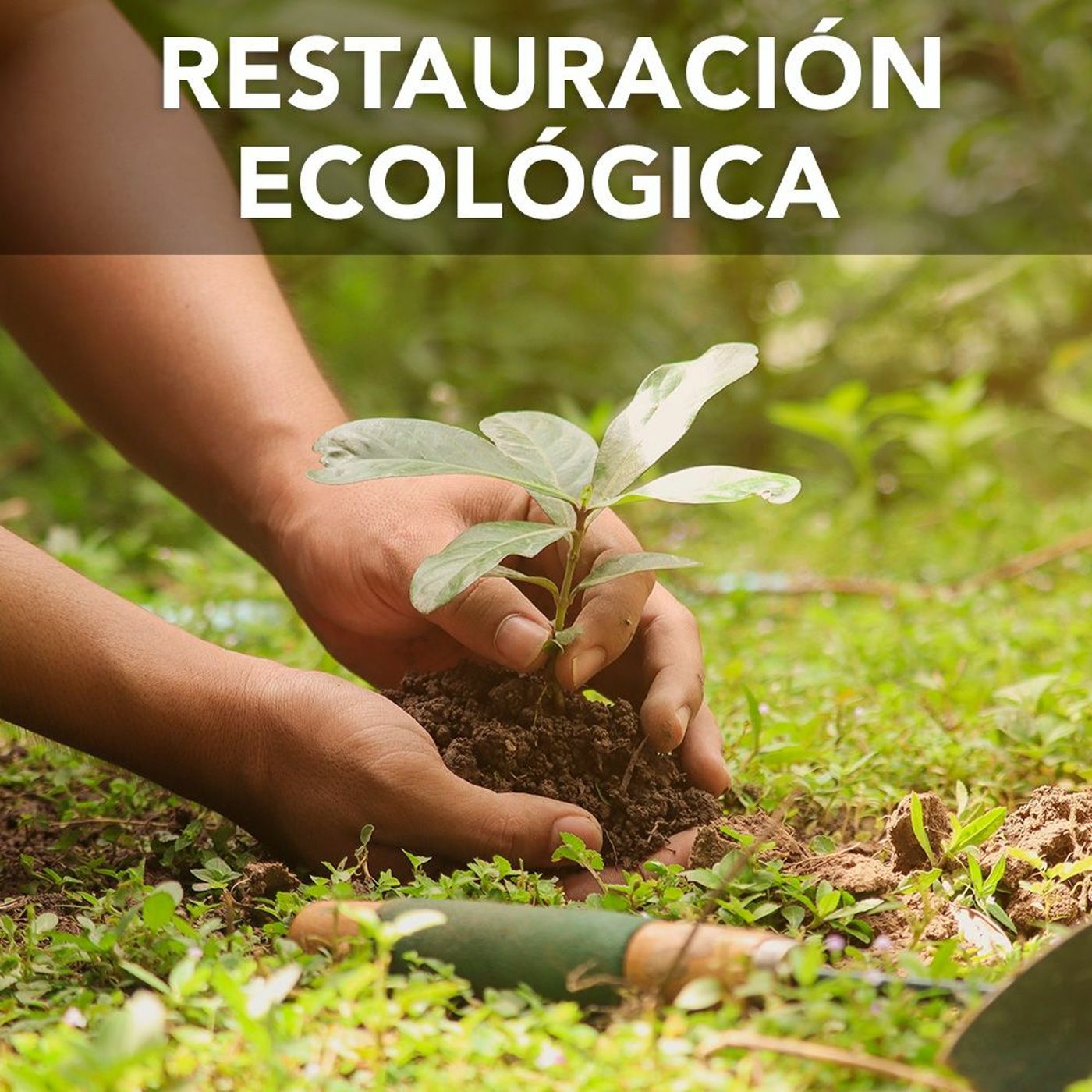 Restauración ecológica | Desafíos RCN-Javeriana episode artwork