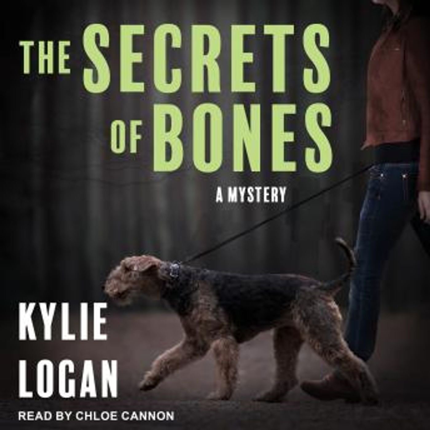 Get Top Full Audiobooks in Mystery, Thriller & Horror, Police & Detective