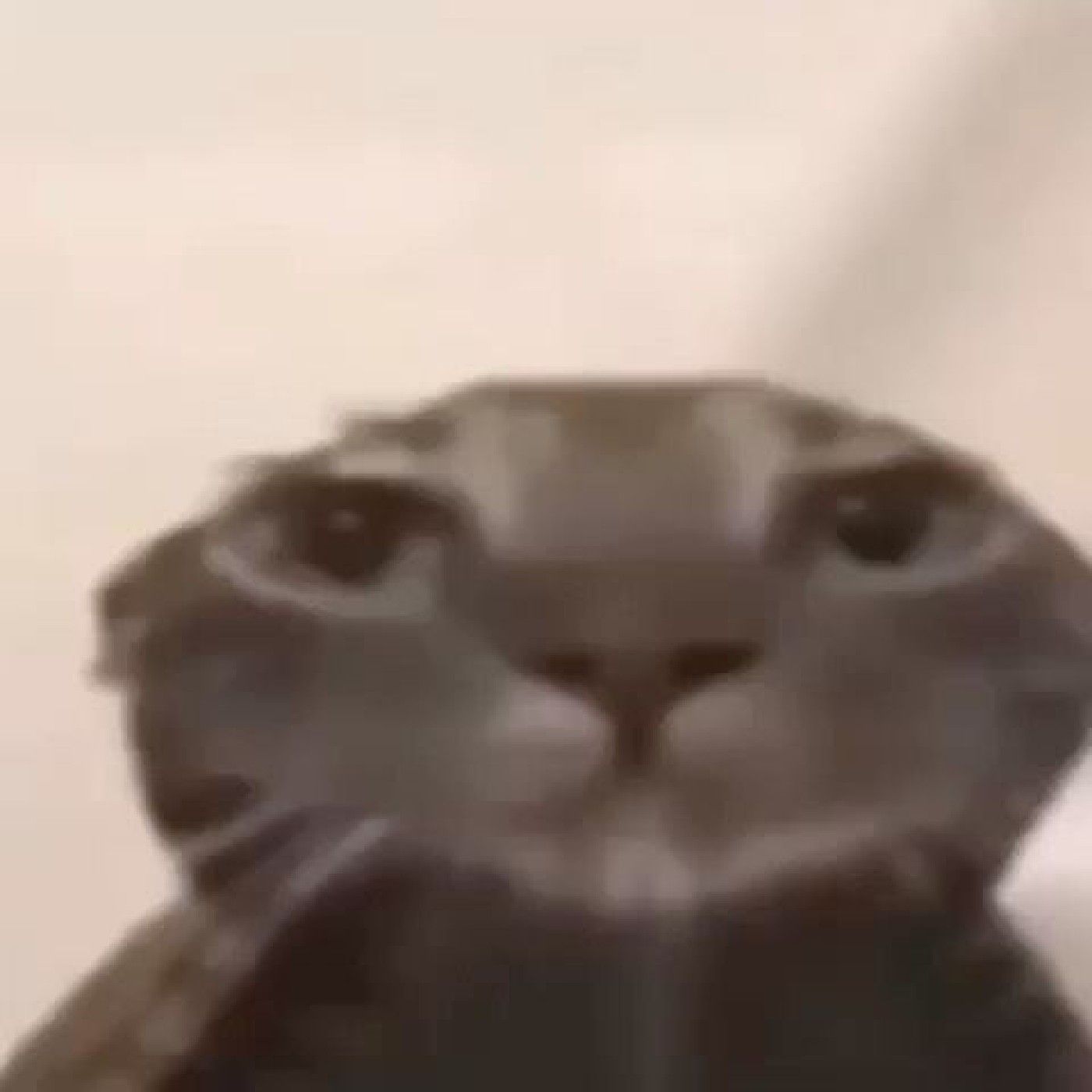 Podcast de Amber Garcia cover art