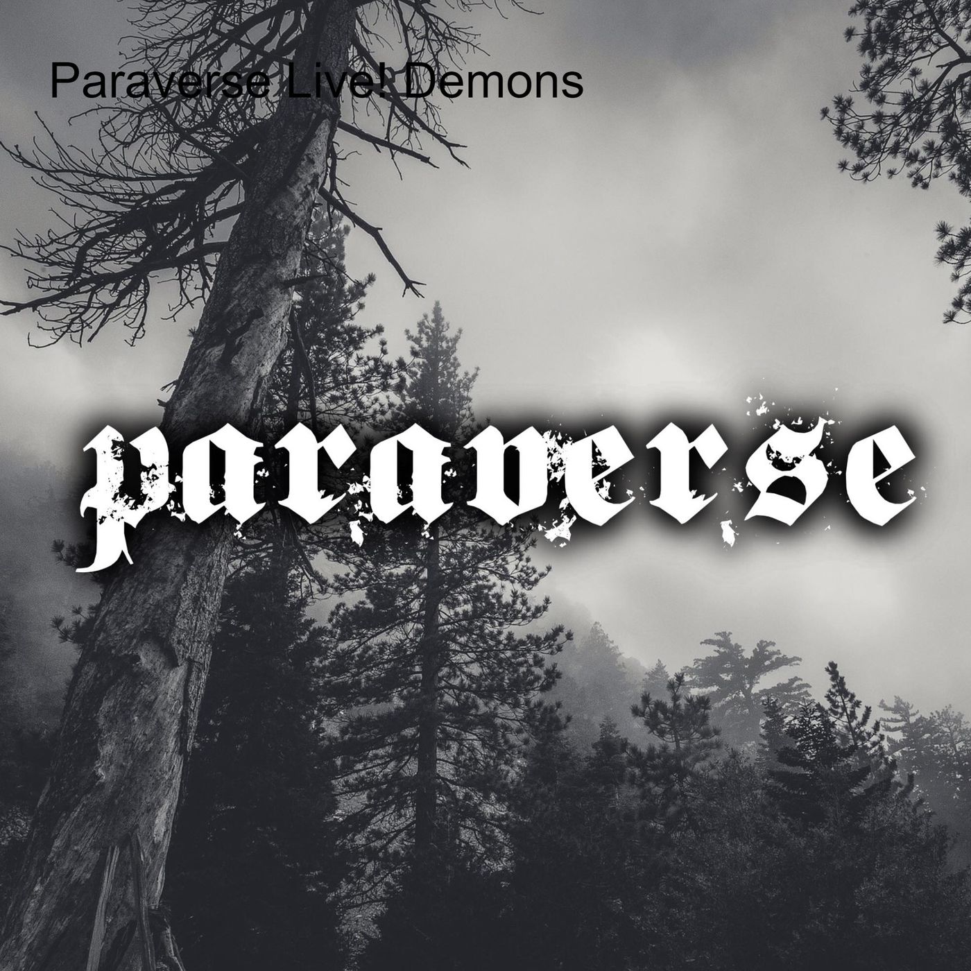 Paraverse - Live show and podcast series