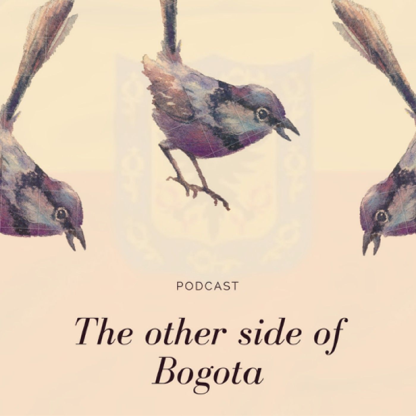 The Other Side Of Bogota
