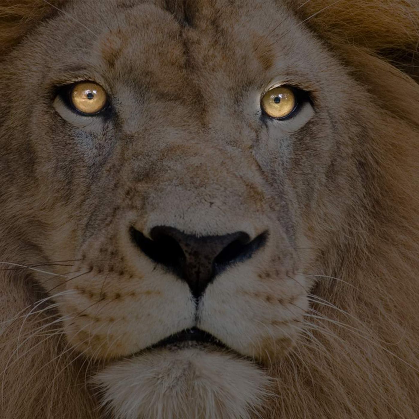 Keep Your eye on the Prize; JESUS! Focus