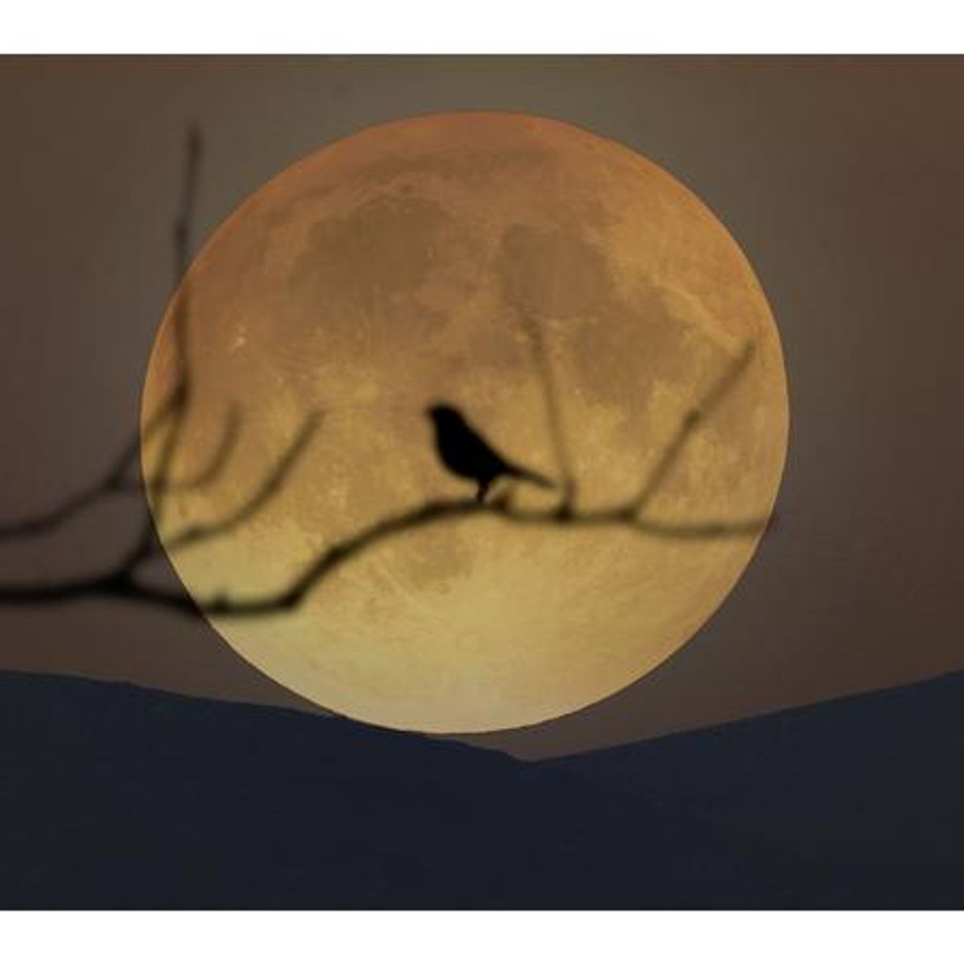Moon Magic with Jeanet & David Ewing - March Full Storm Moon Ritual episode artwork