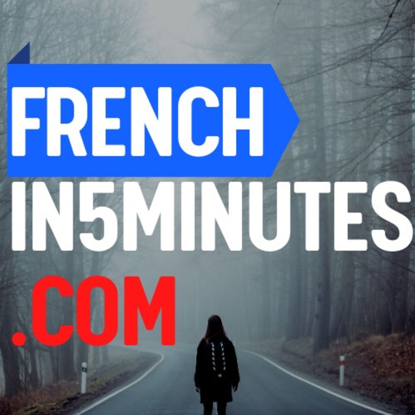 FRENCHIN5MINUTES - Learn French in 5 minutes a day !