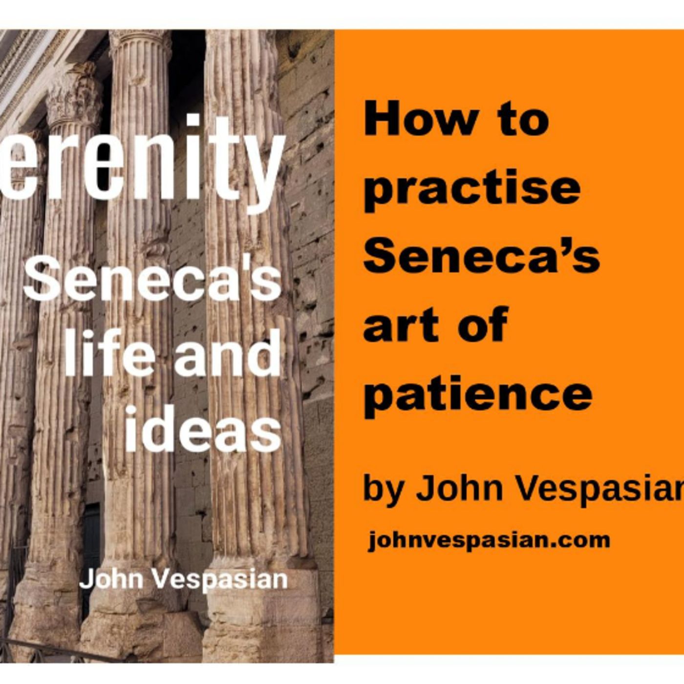 How to practise Seneca’s art of patience episode artwork