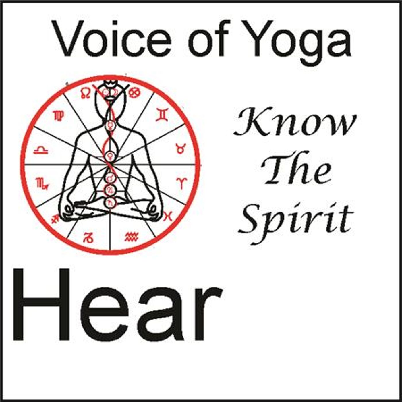 Spirit and Spiritual Understanding in Kriya Yoga episode artwork