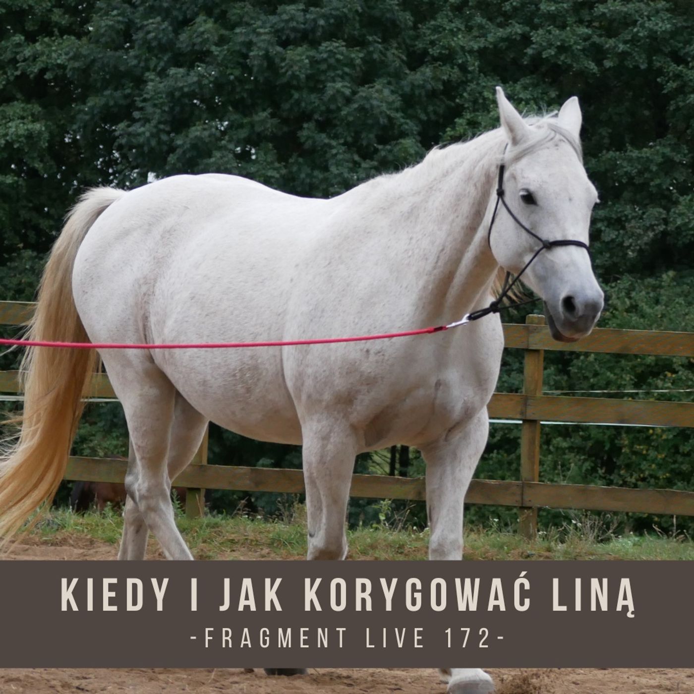 Kiedy i jak korygować liną - fragment live 172 episode artwork