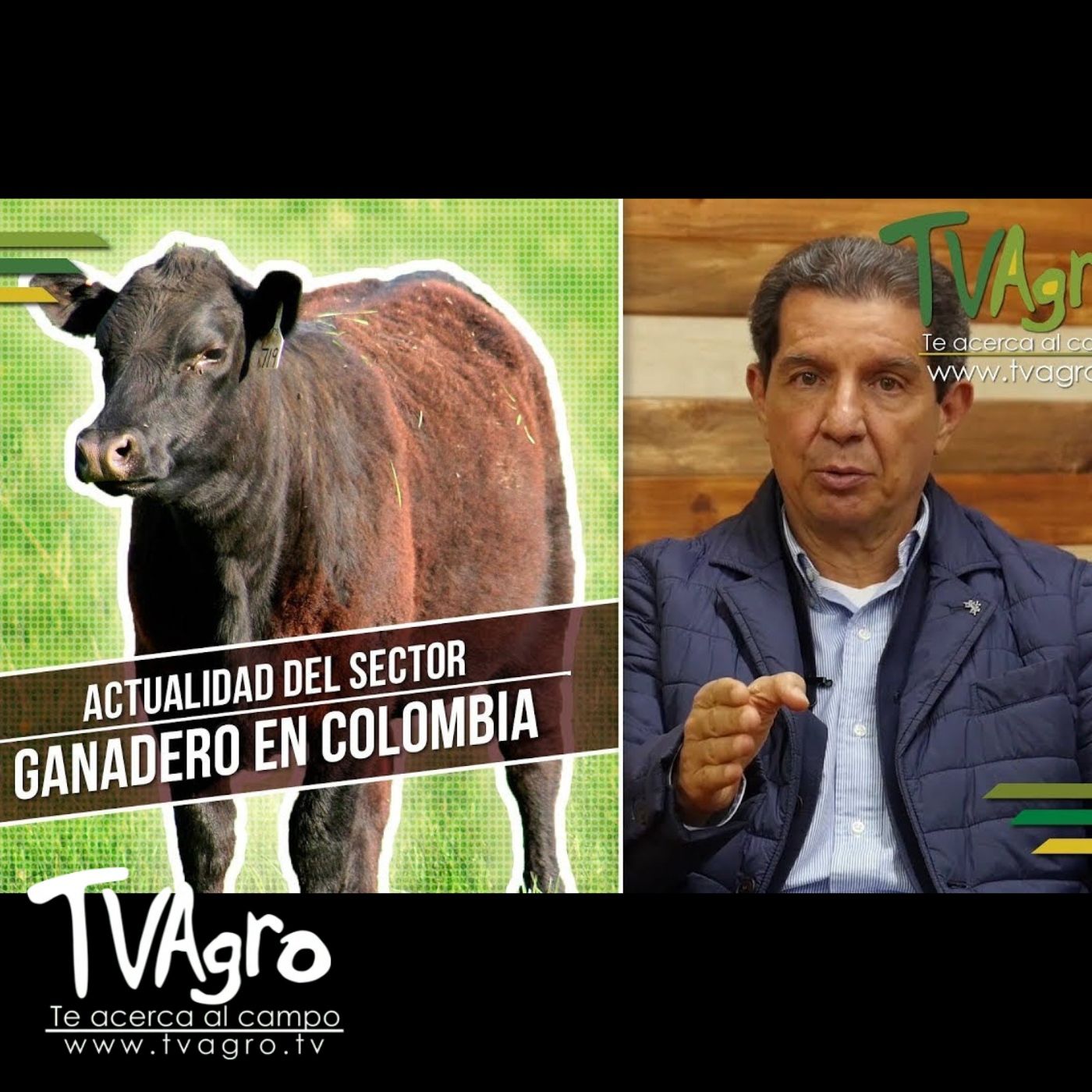 TV AGRO