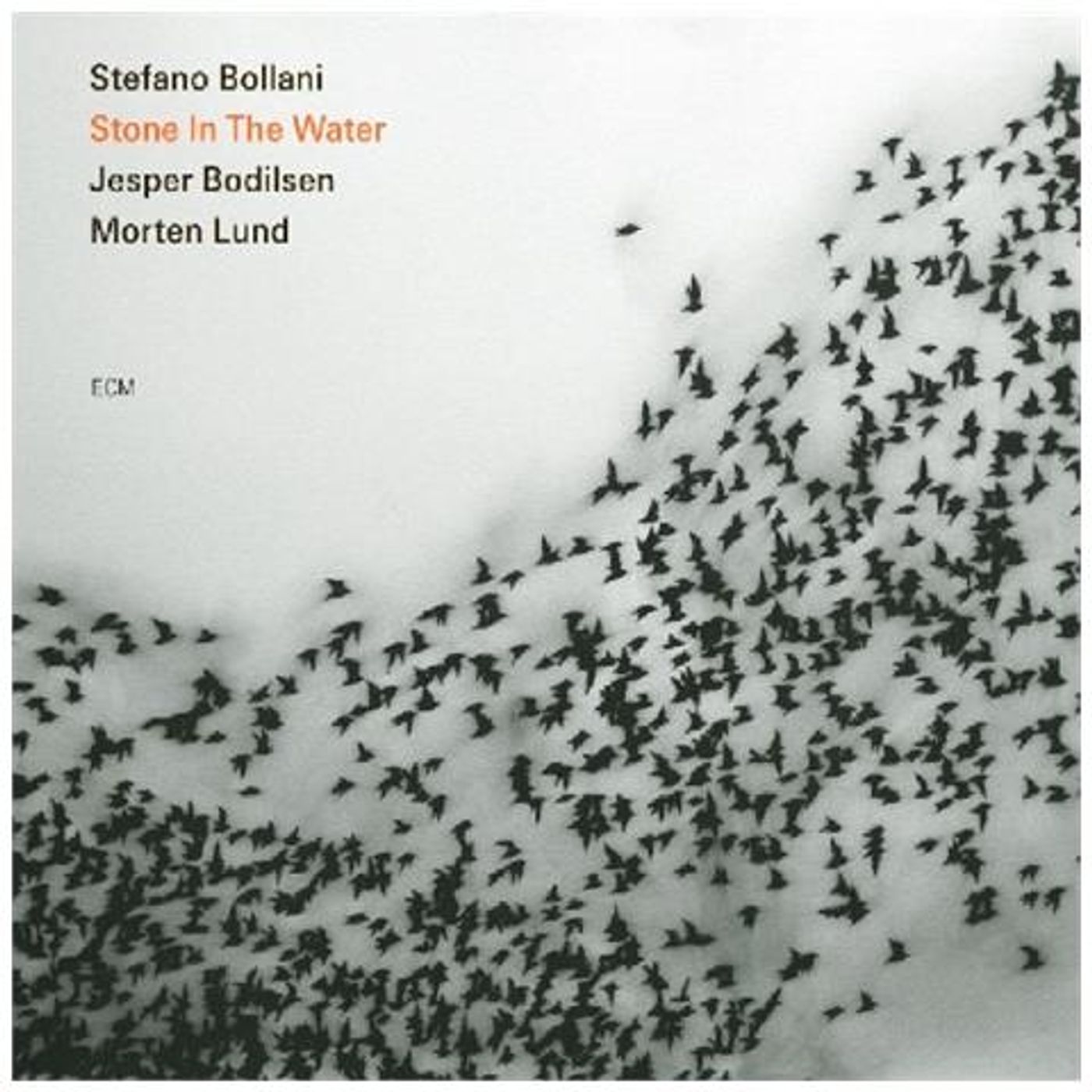 BOLLANI DAY