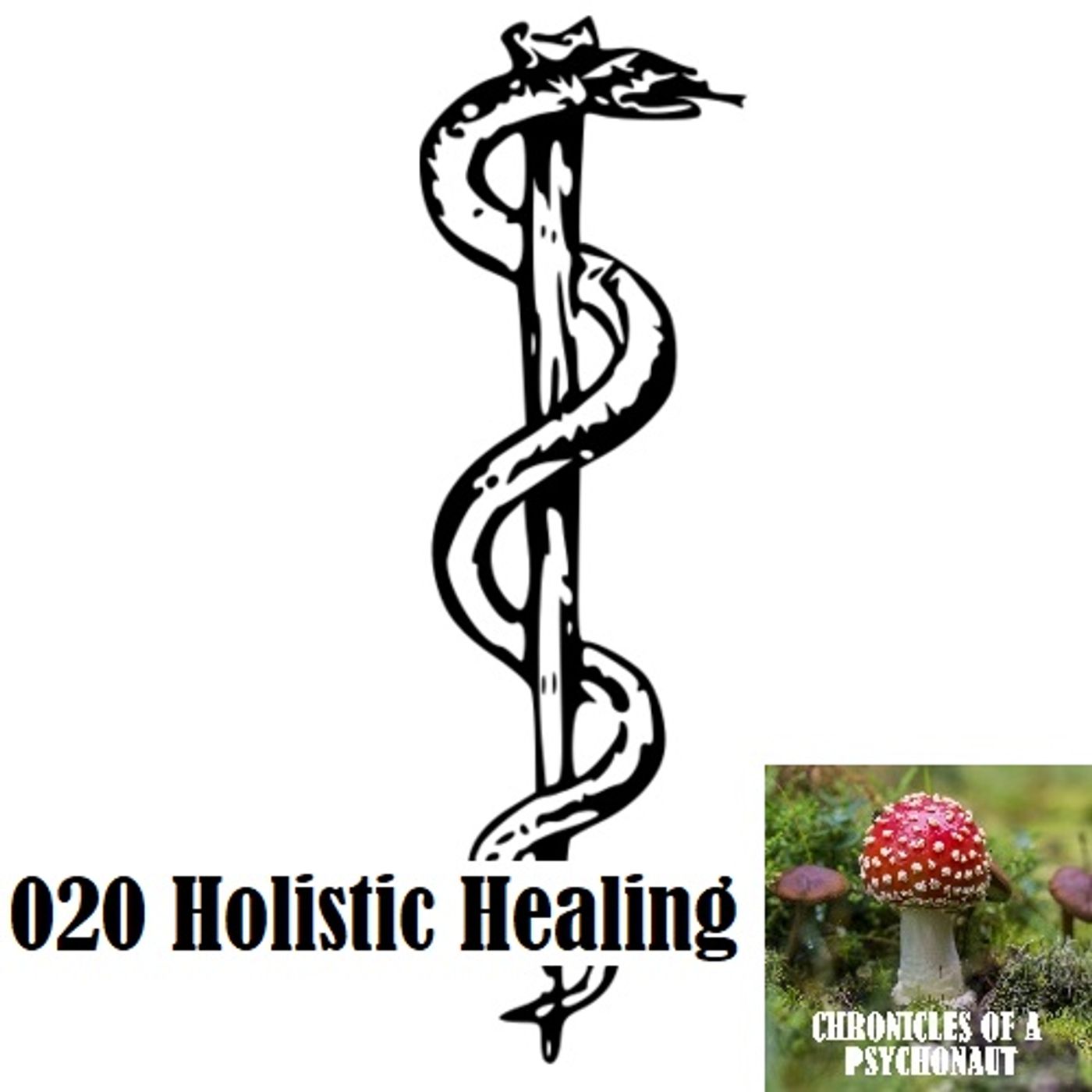 020 Holistic Healing