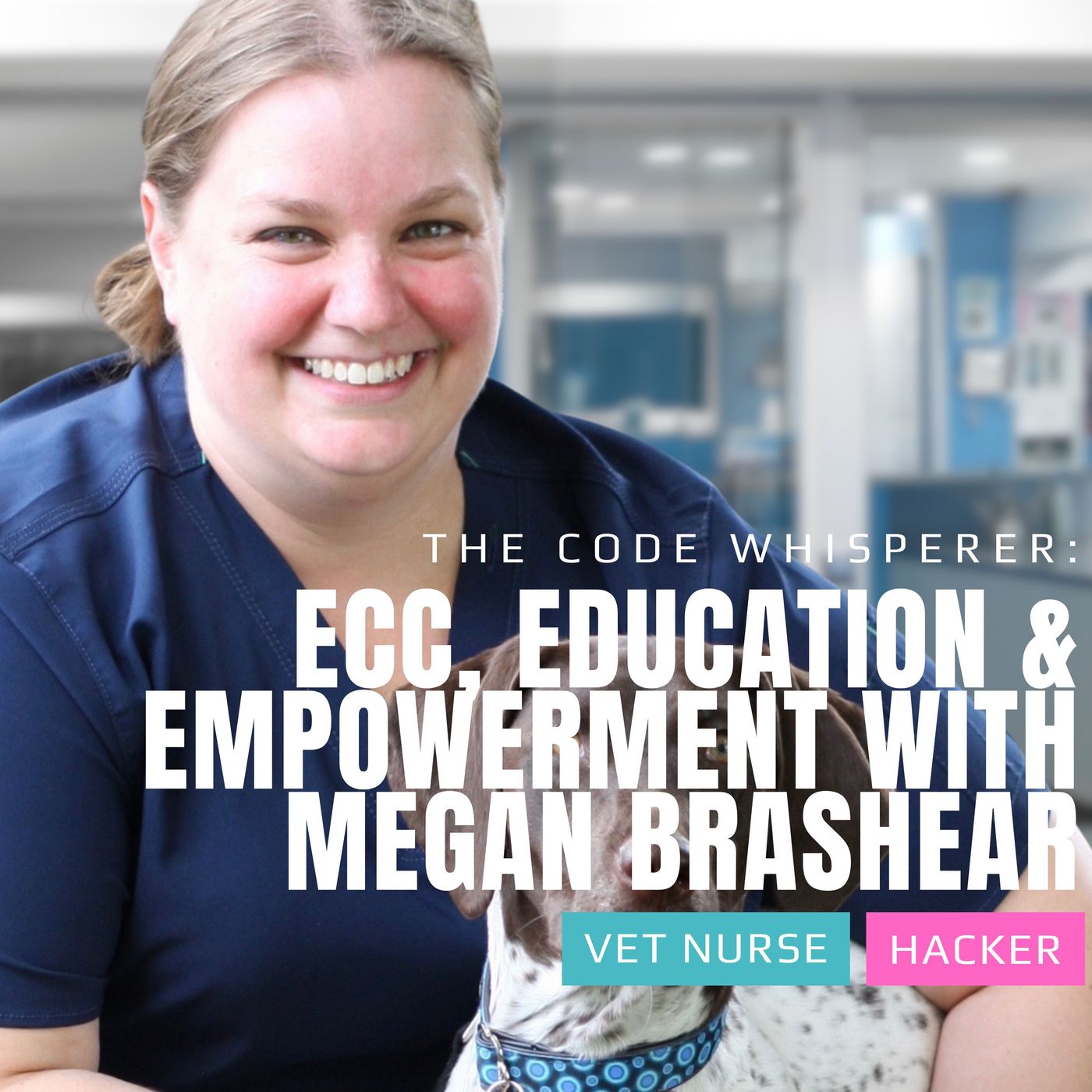 The Vet Nurse Hacker Podcast