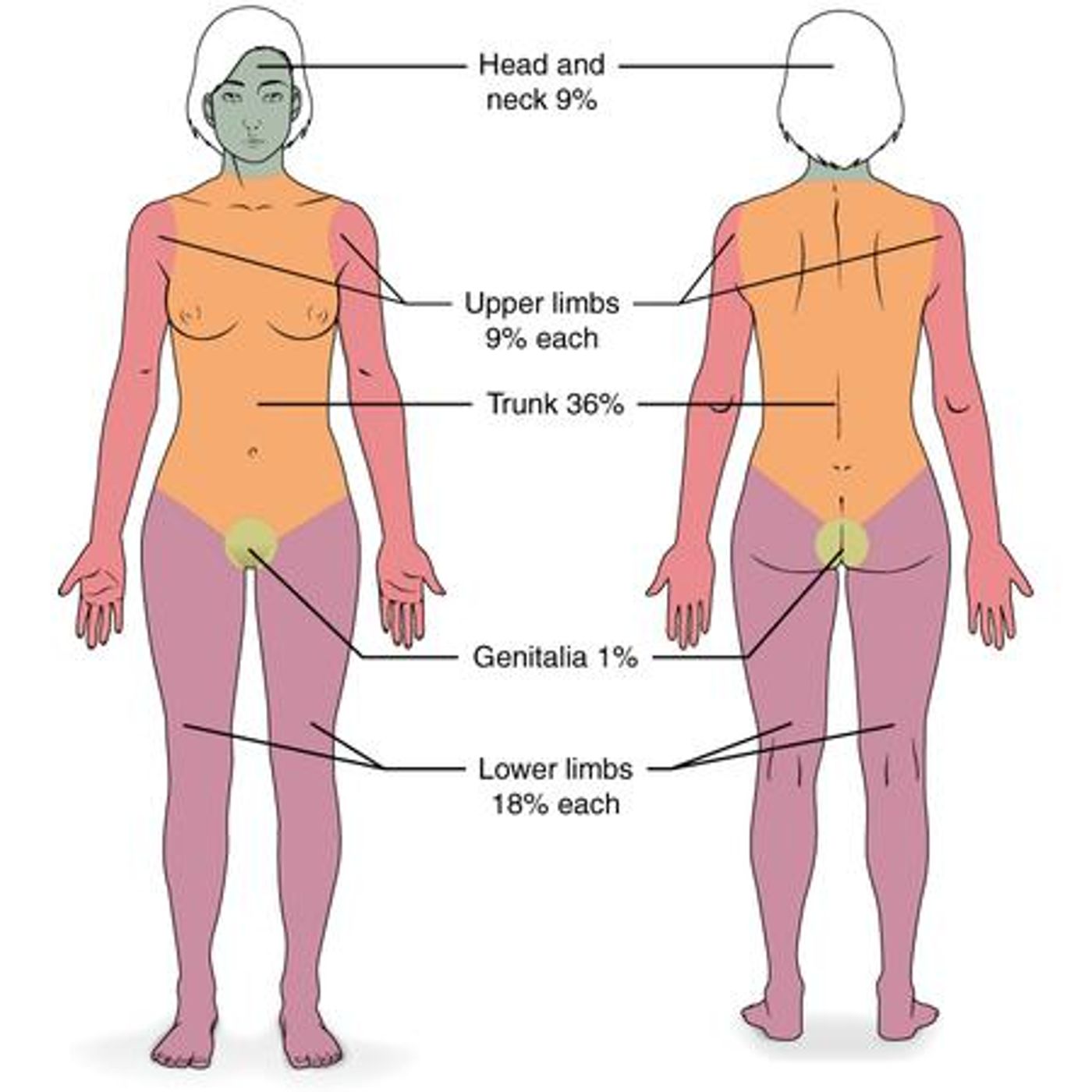 Survival Medicine Hour: Trail Injuries, Burns, More