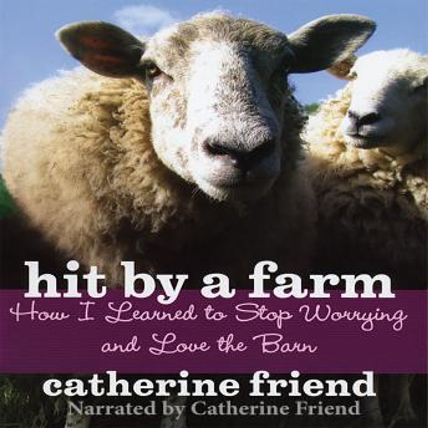 Hit By A Farm: How I Learned to Stop Worrying and Love the Barn by Catherine Friend episode artwork