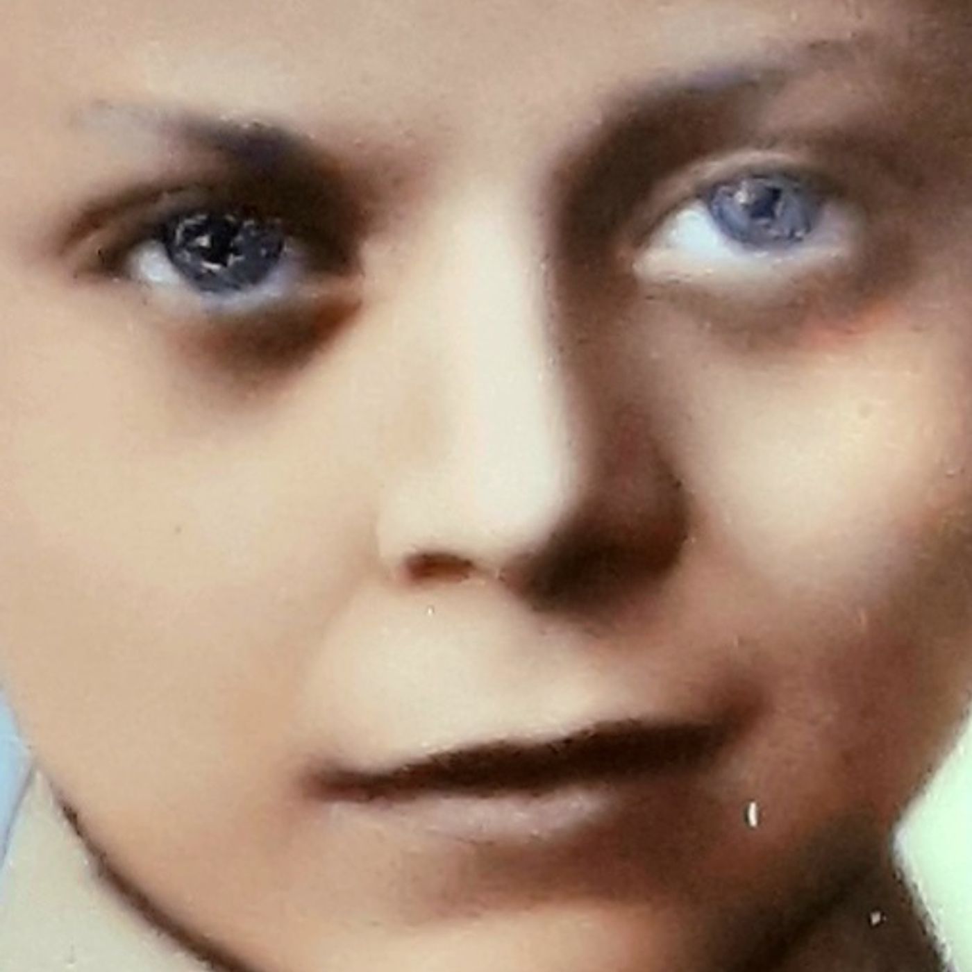 Presentazione Domenichino Zamberletti