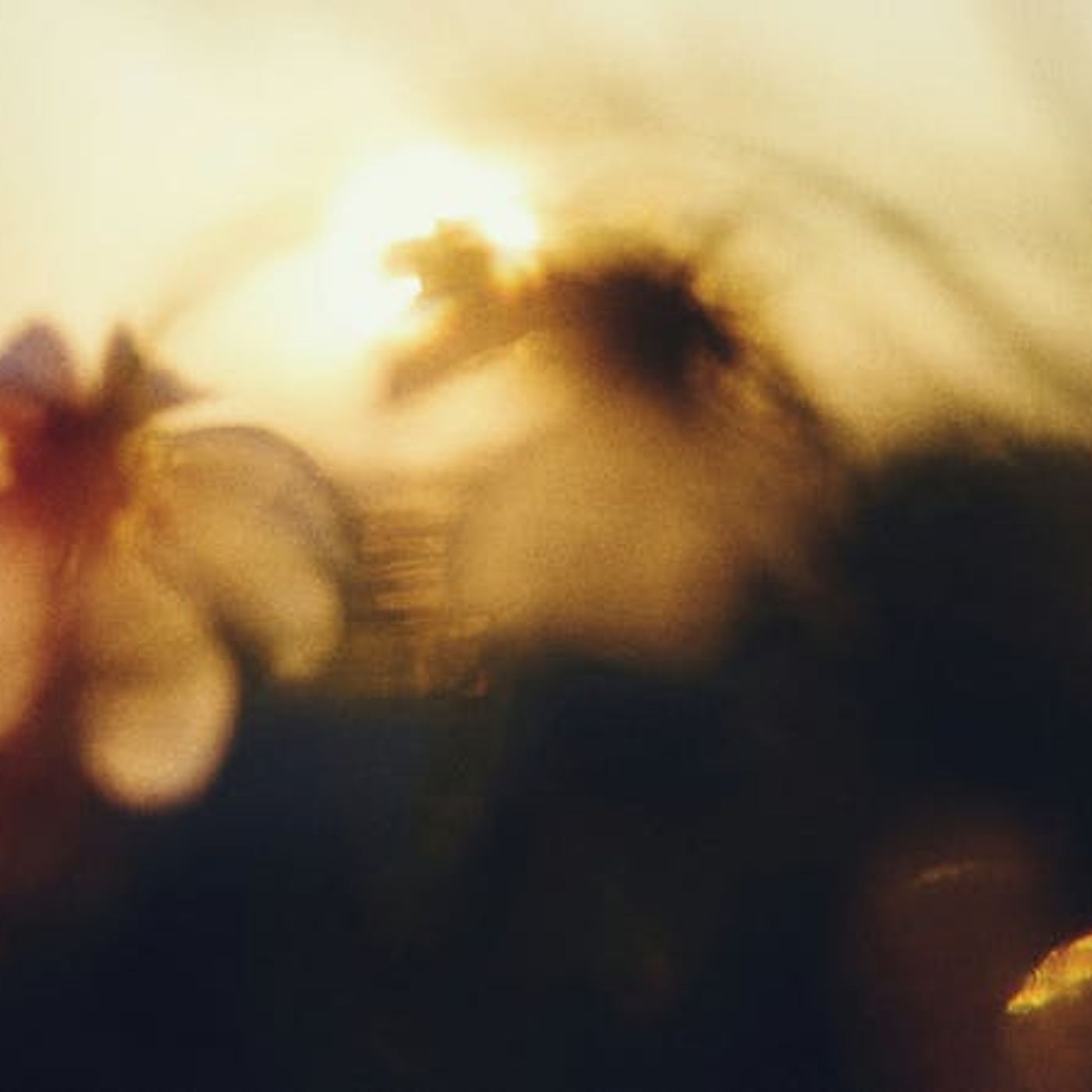 The God Who Breaks Us with Kindness The God Who Breaks Us with Kindness