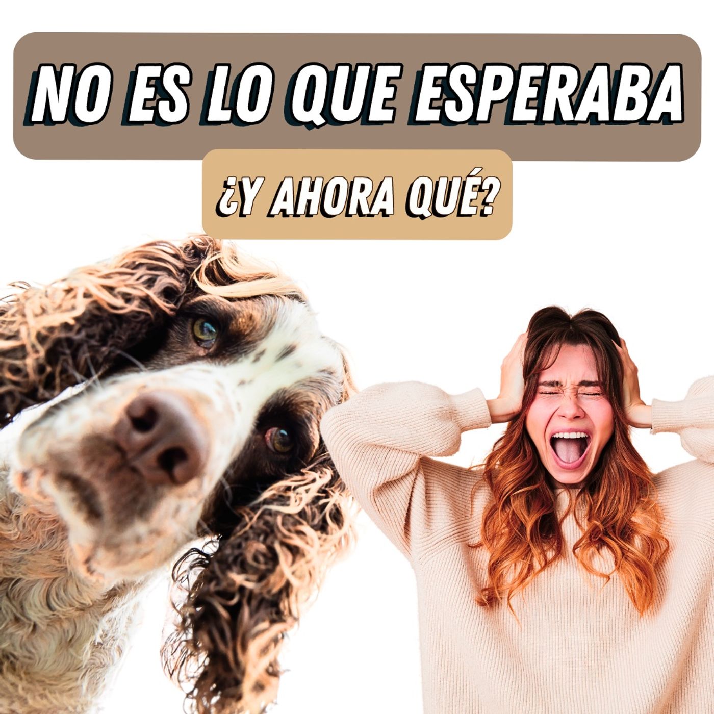 Las Expectativas VS La Realidad De Tener Un Perro!