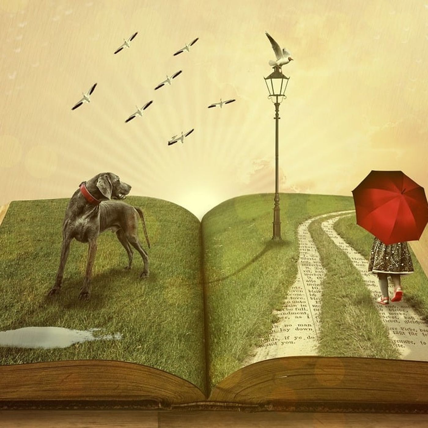 Podcast literarios podcast artwork