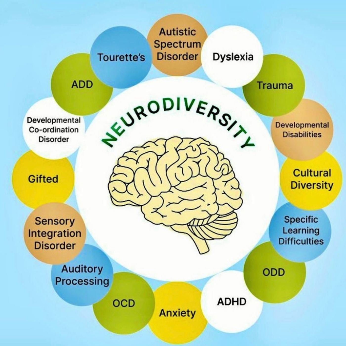 Neurodiversity Nation: Amplifying Voices