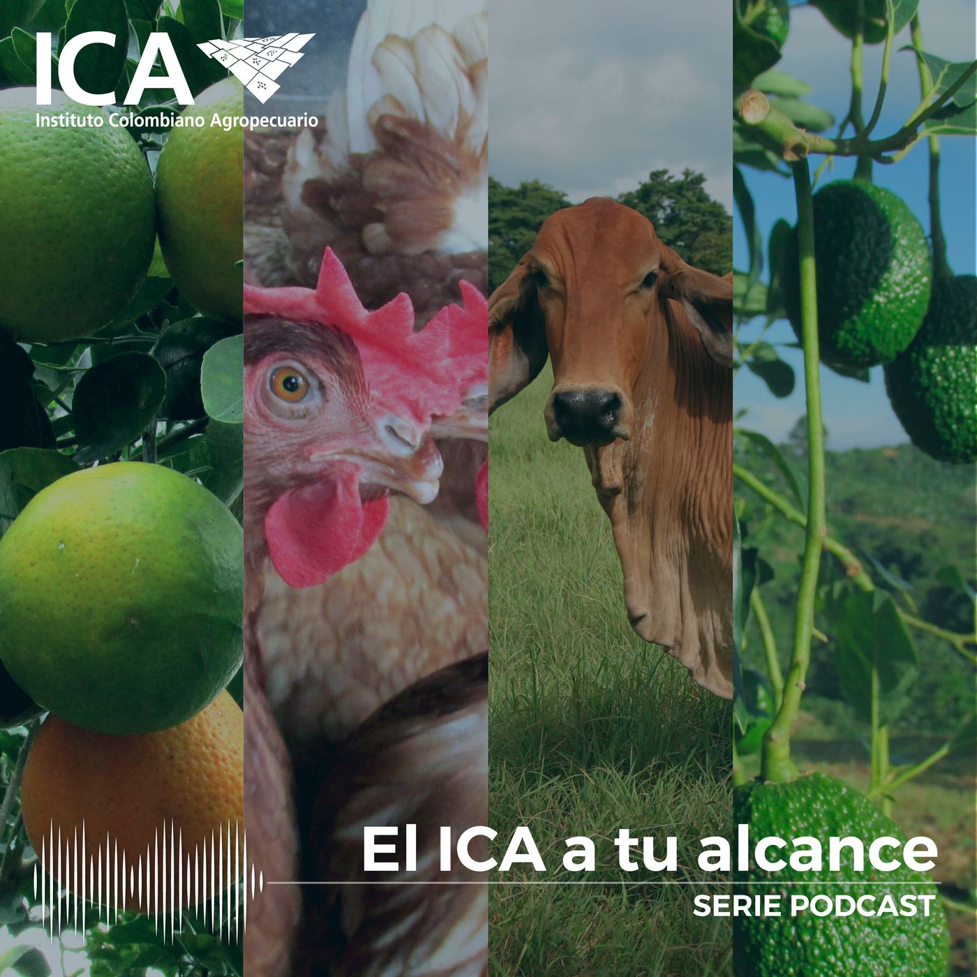 El ICA a tu alcance