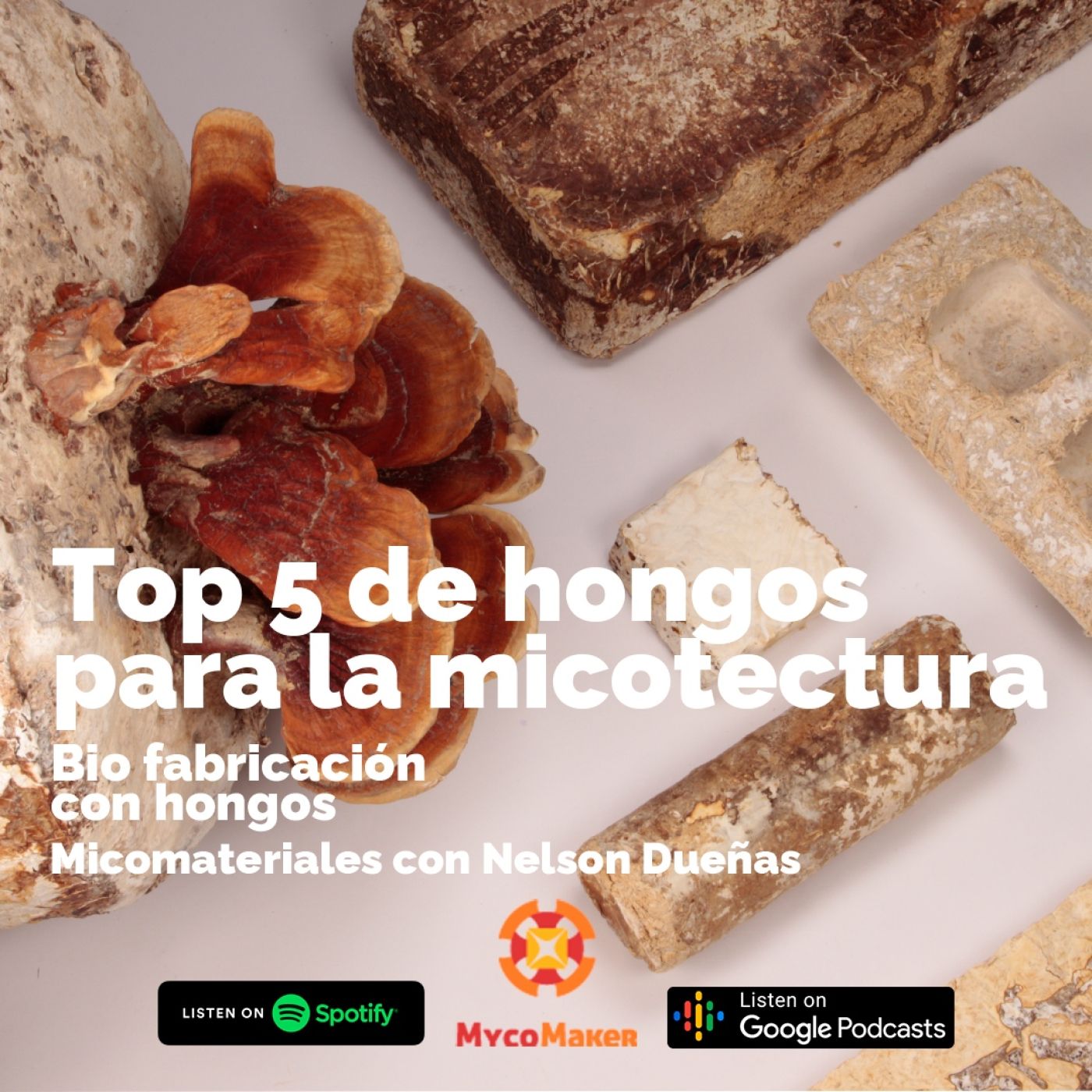 Pasión por los hongos