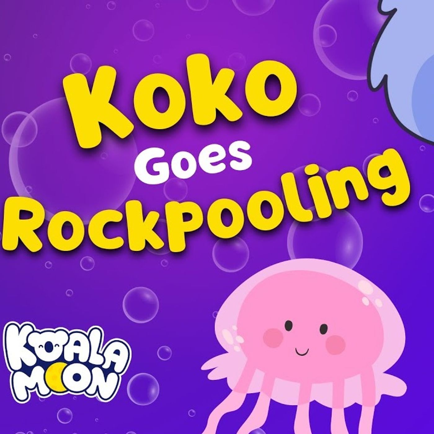 Koko Goes Rock Pooling _ Sleep Meditation Story _ Koala Moon Bedtime Stories episode artwork