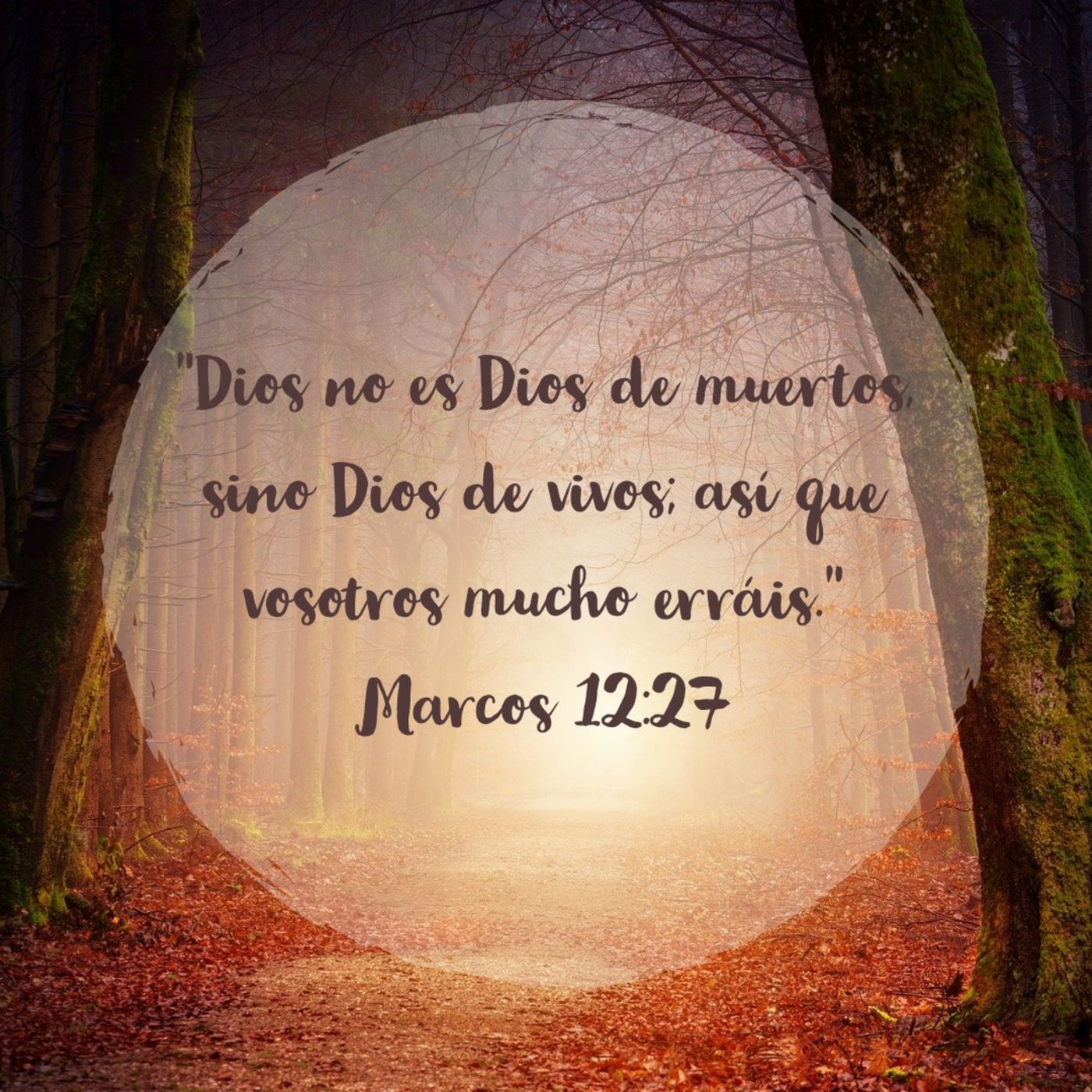 Evangelio de Marcos