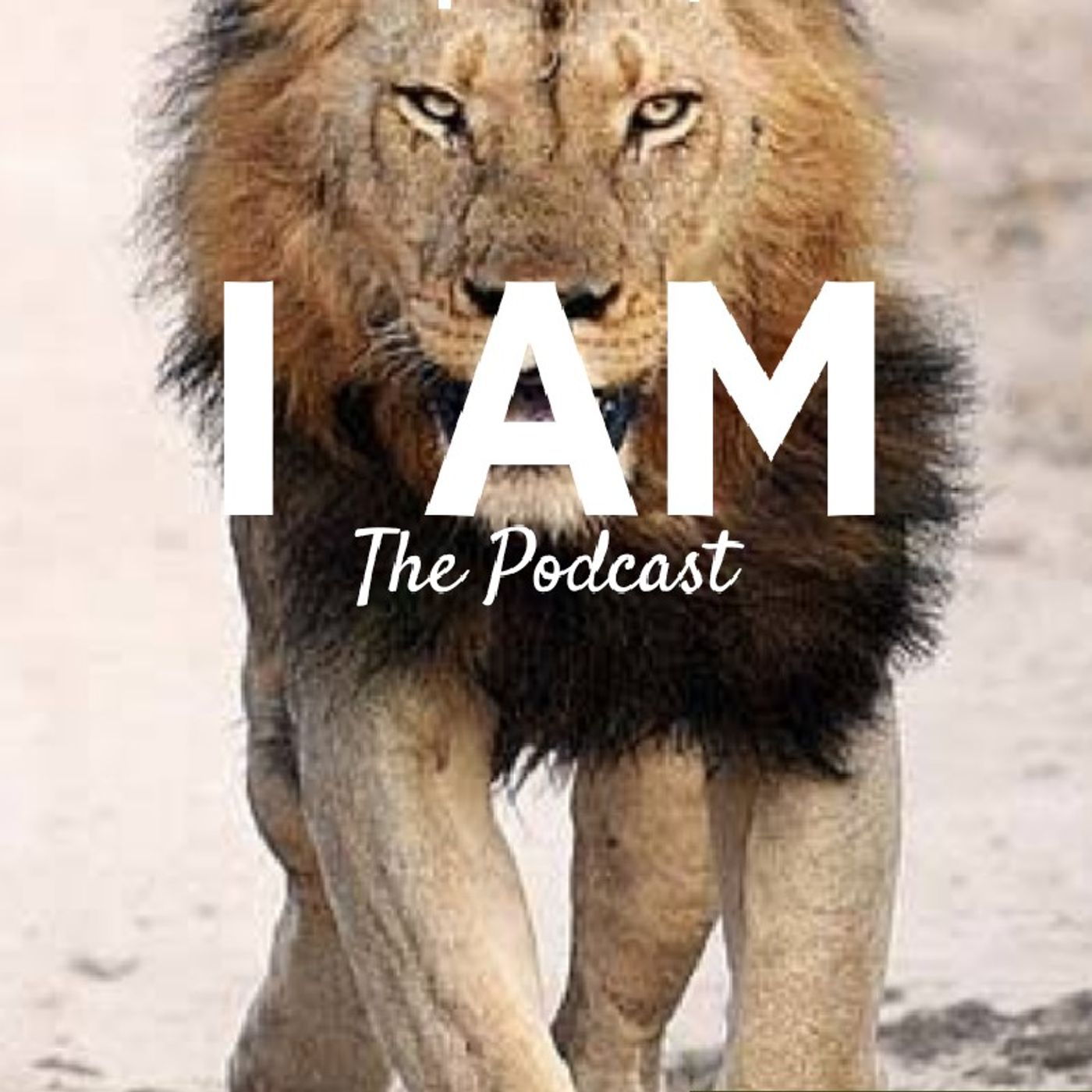 I AM episode artwork