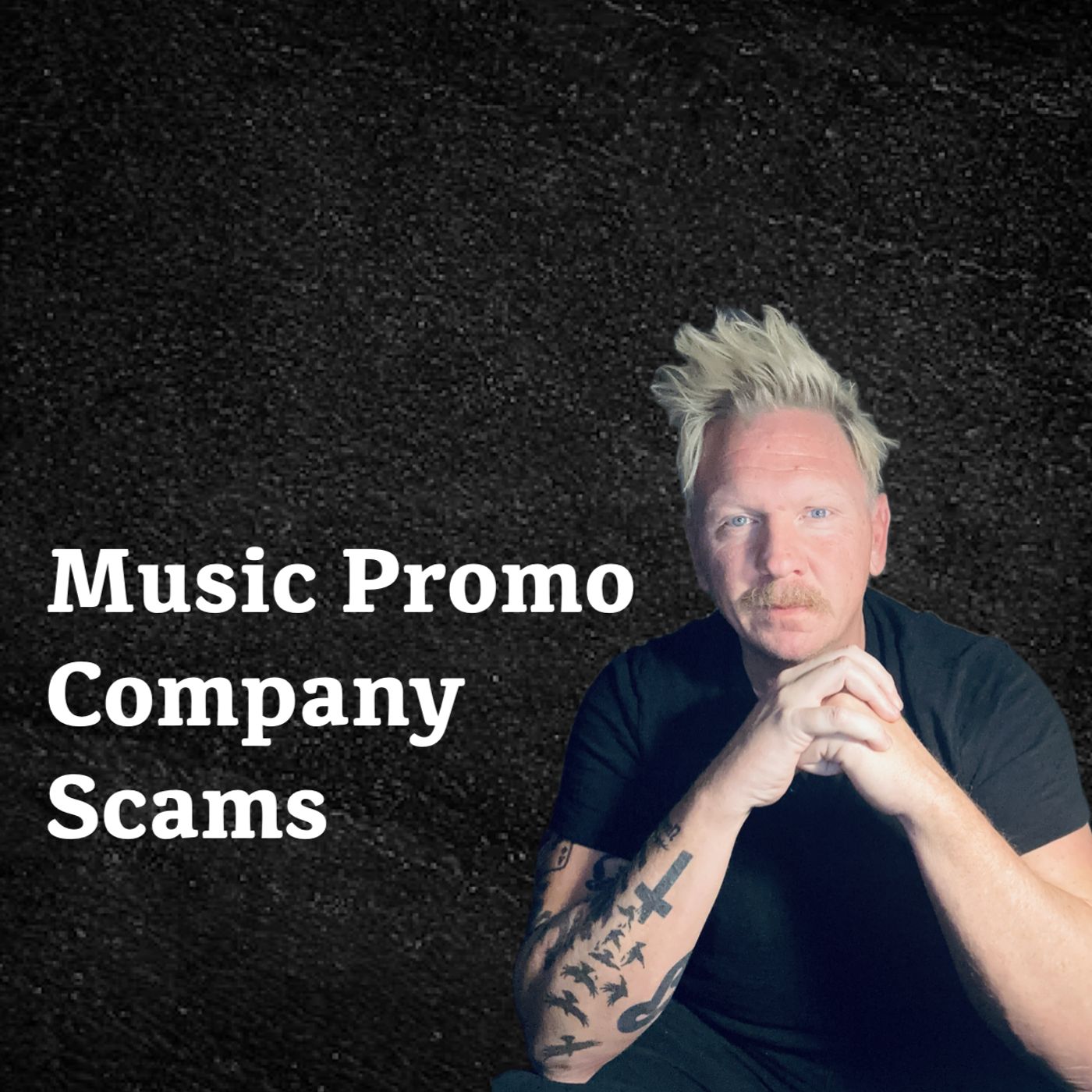 Music Promo Companies are a SCAM episode artwork