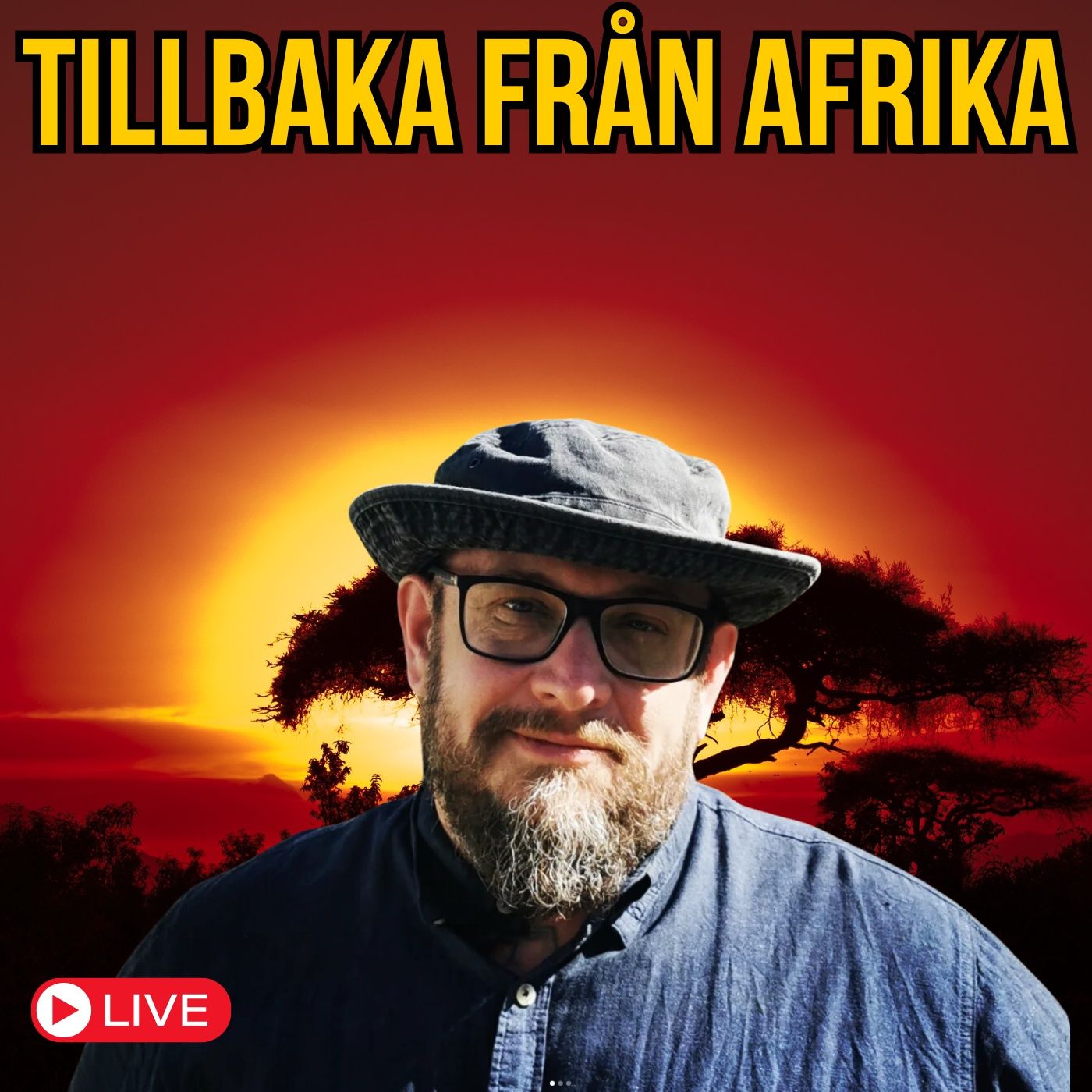 Det fria Sverige