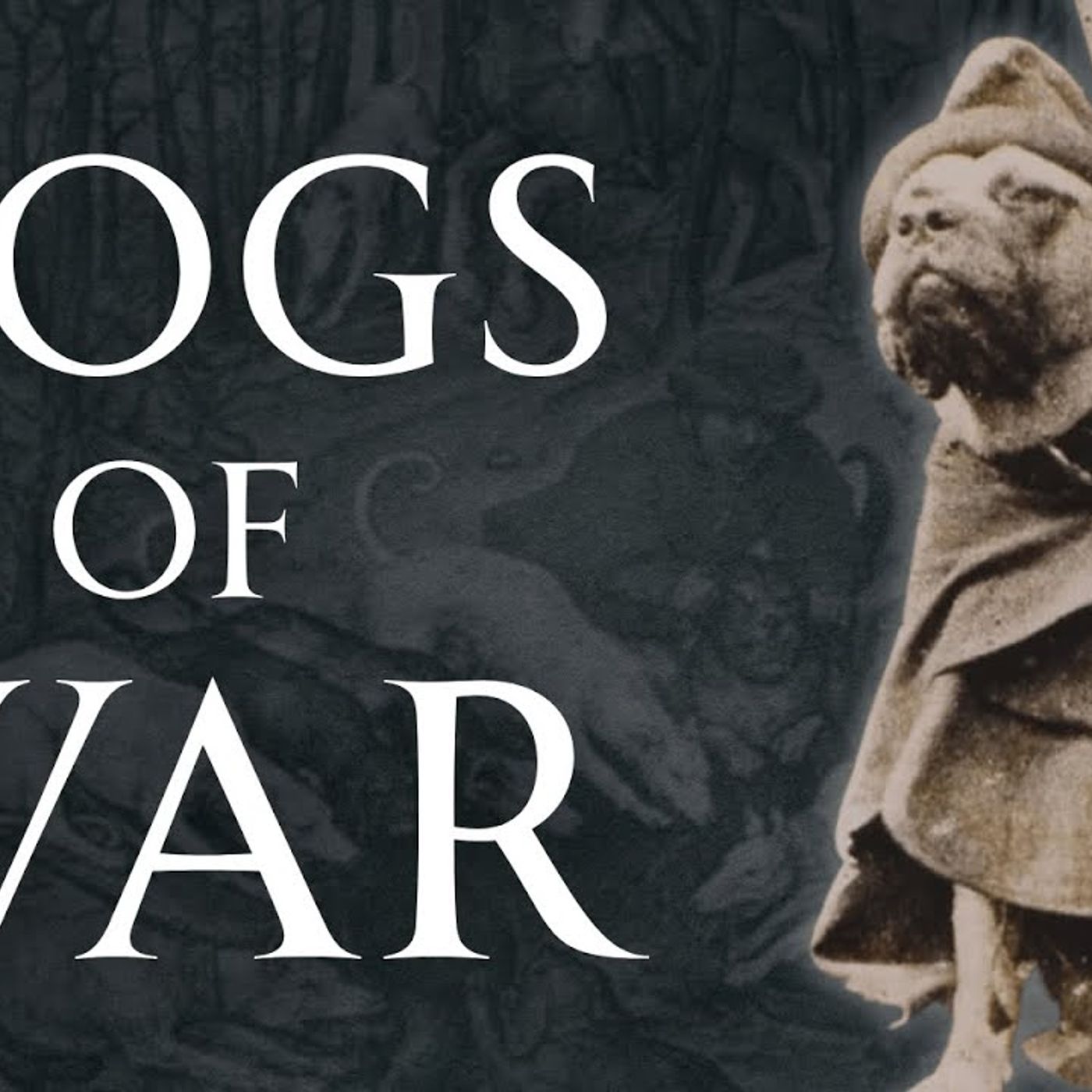 A History of War Dogs episode artwork