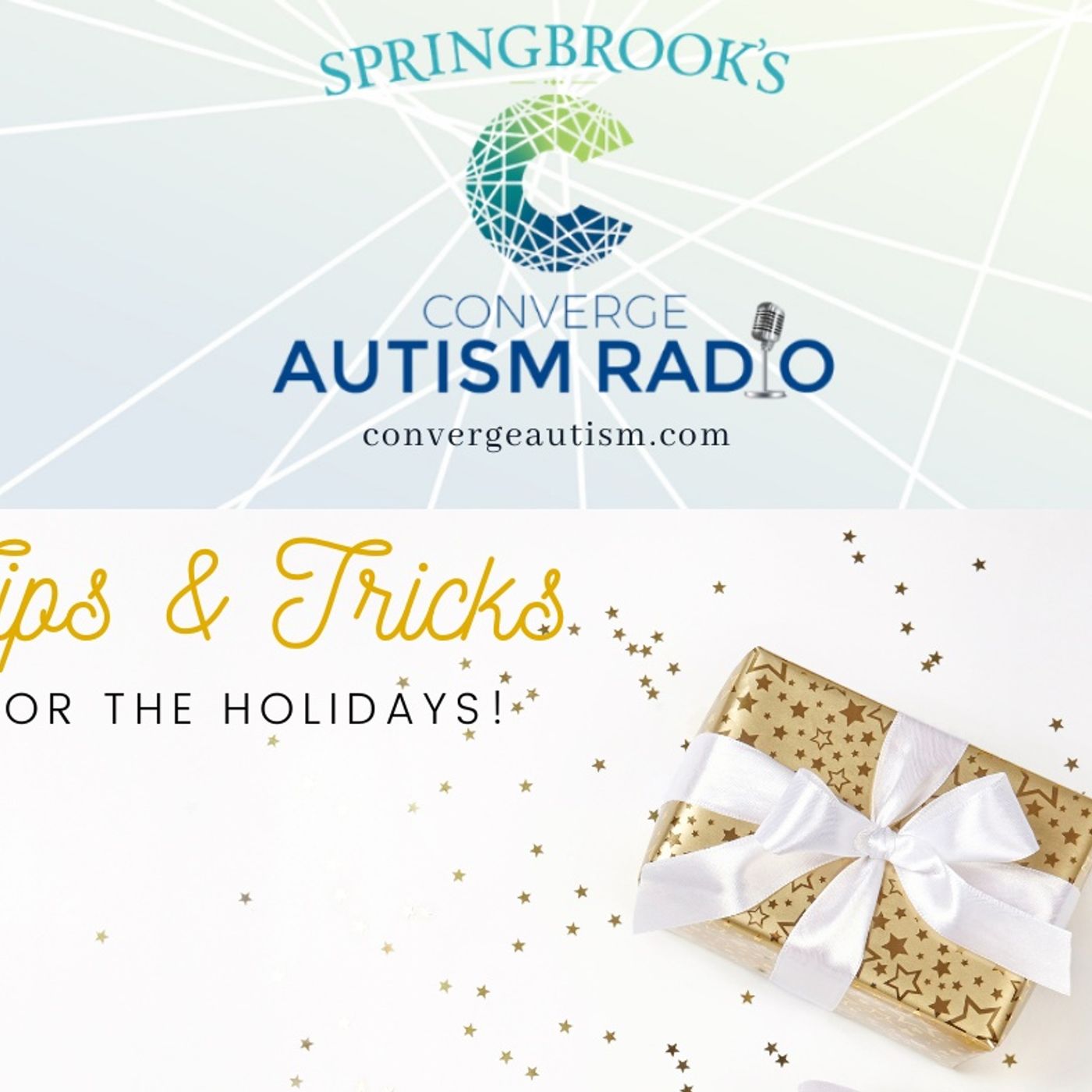 Springbrook\'s Converge Autism Radio