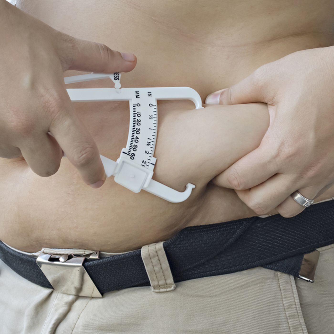 Fitness e dintorni