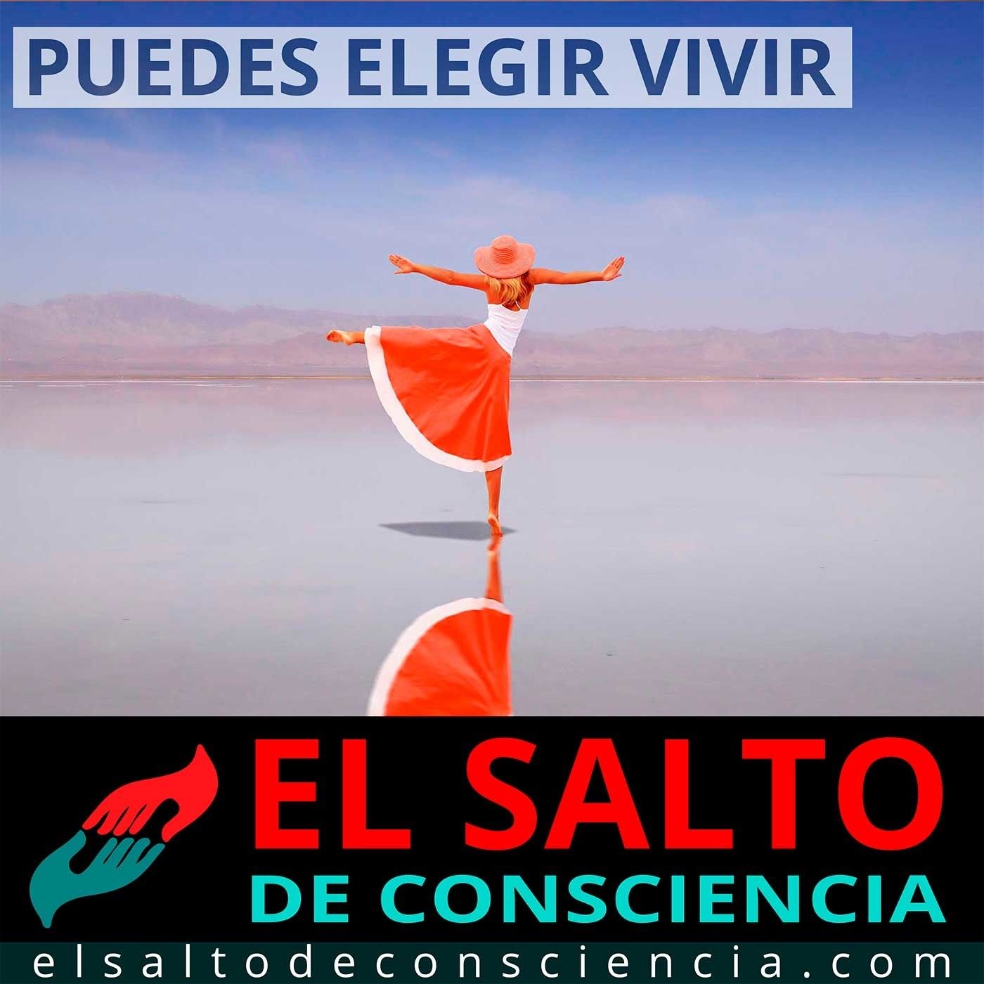 El Salto de Consciencia