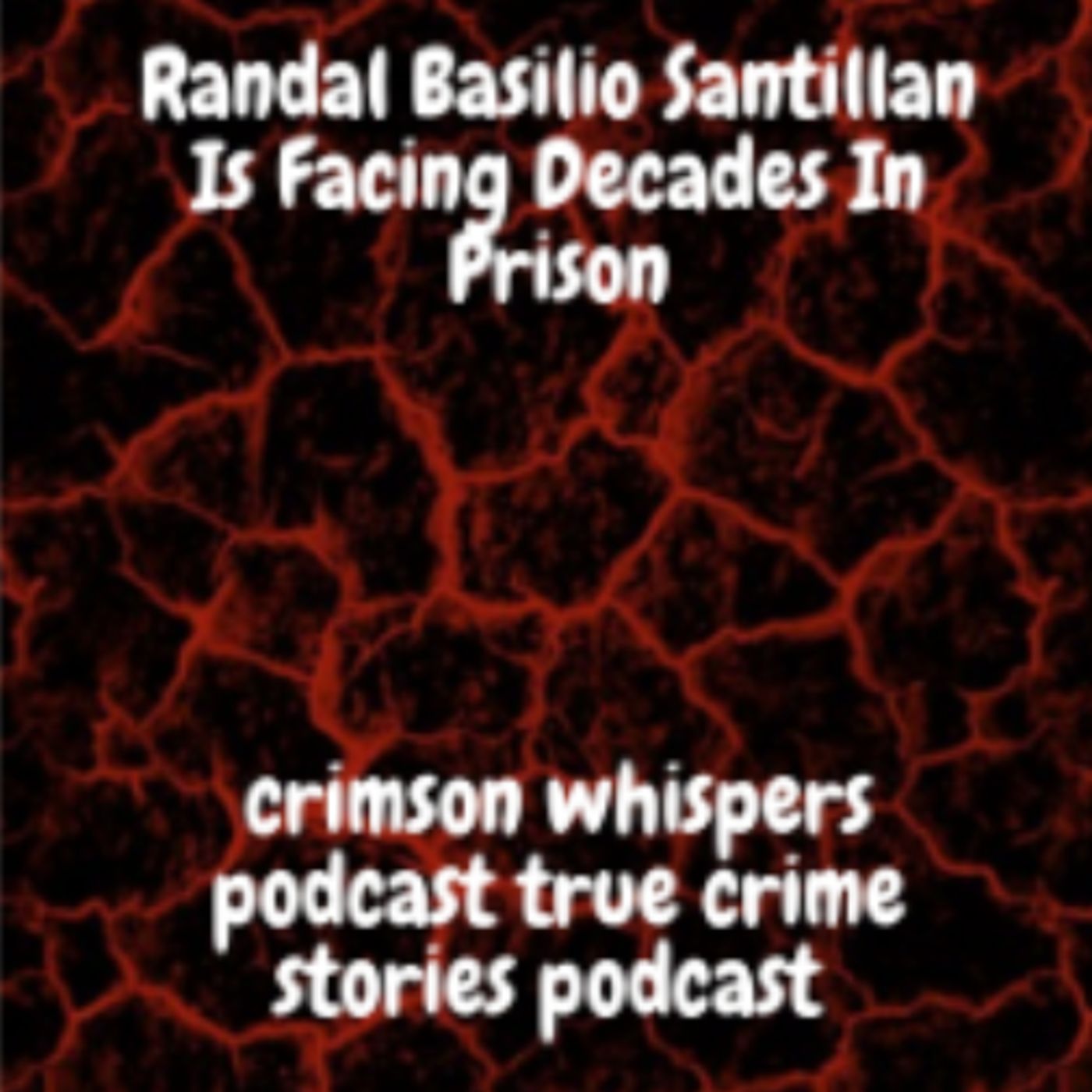 Randal Basilio Santillan Is Facing Decades In Prison episode artwork
