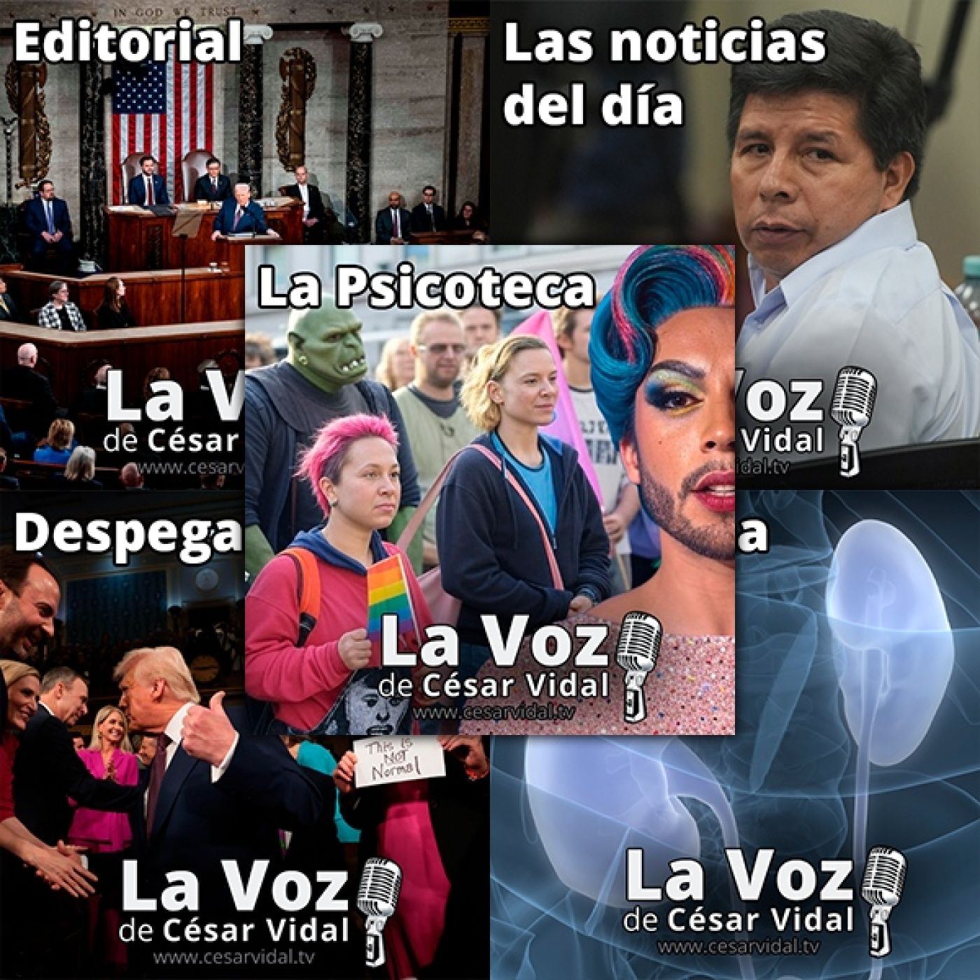 Programa Completo de La Voz de César Vidal - 05/03/25 episode artwork