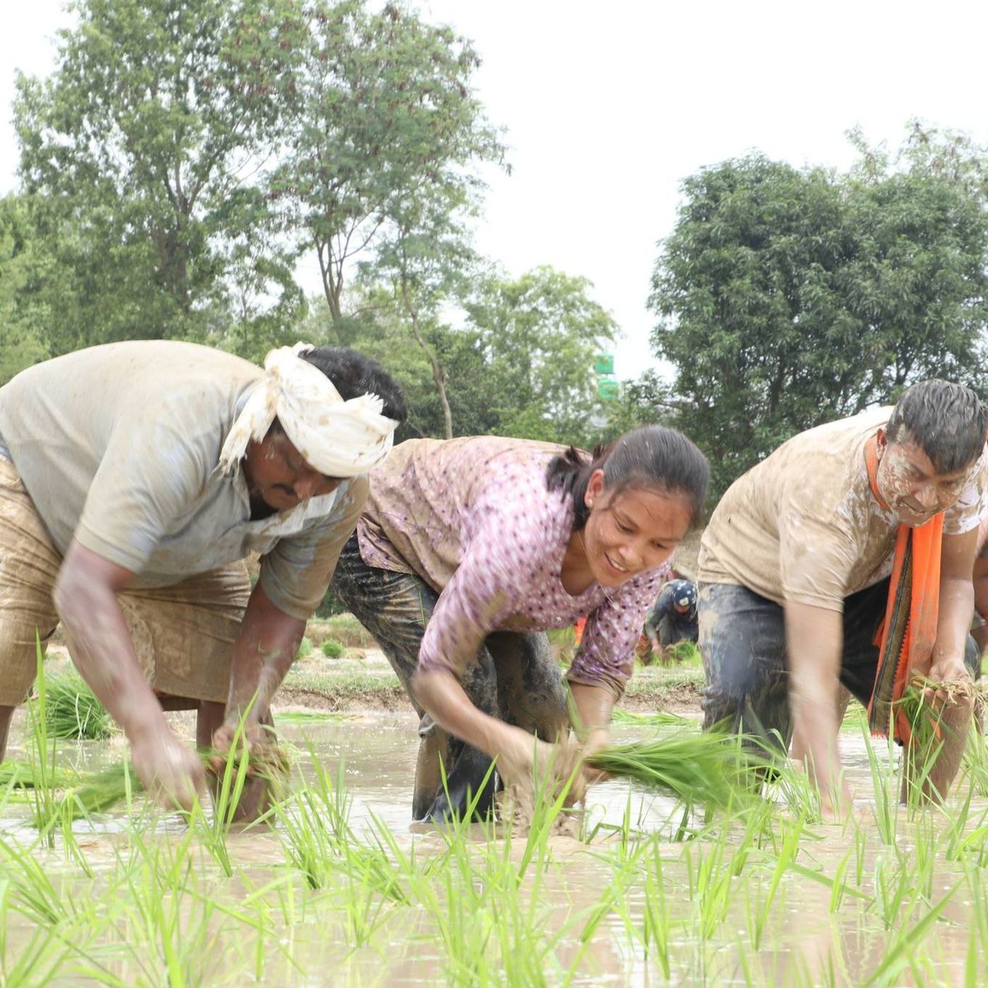 Indigenous Peoples Rights In Energy Development - Nepali