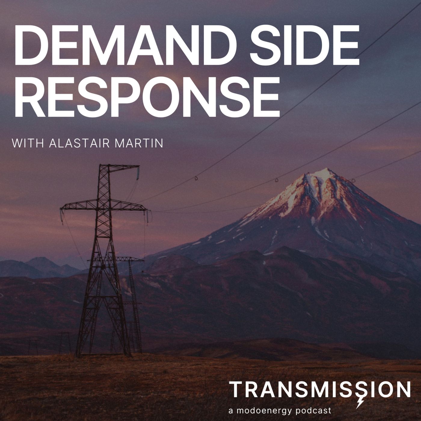 Demand side response with Alastair Martin (CSO at Flexitricity)